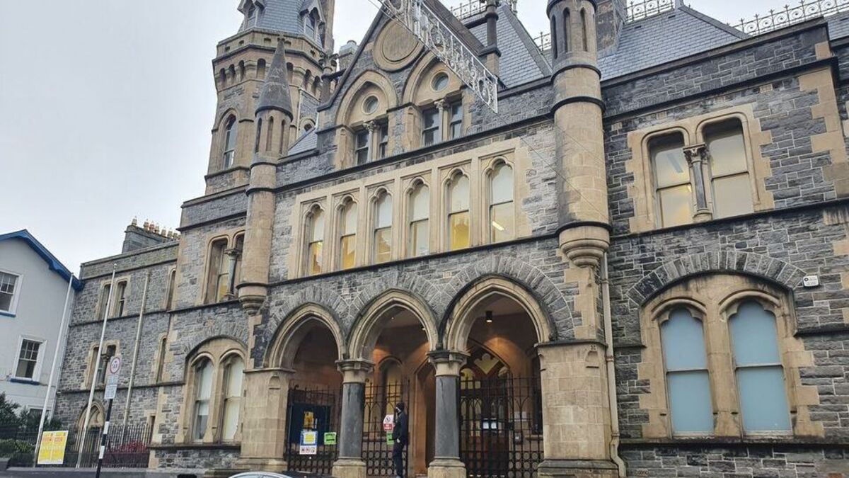A 28-year-old man has been jailed for one year after he attempted to steal a van, damaged a coin parking meter with a crowbar and stole a baton from a Garda in the early hours of October 8, 2025. 