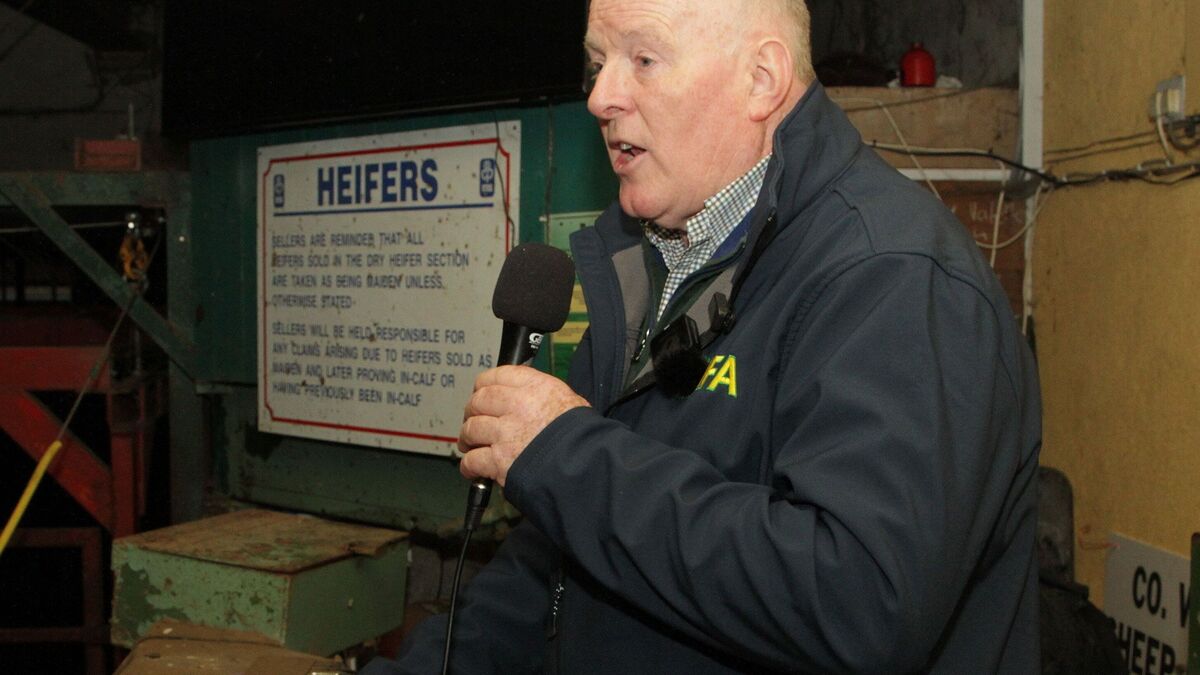 IFA sounds alarm as EU budget hawks seek deeper CAP cuts