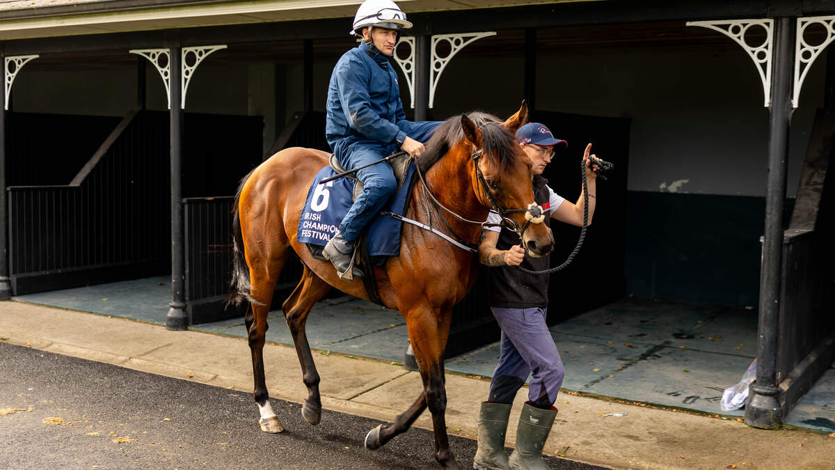 Hotazhell starting to ‘live up to his name' ahead of Irish Champion Stakes bid — Kate Harrington