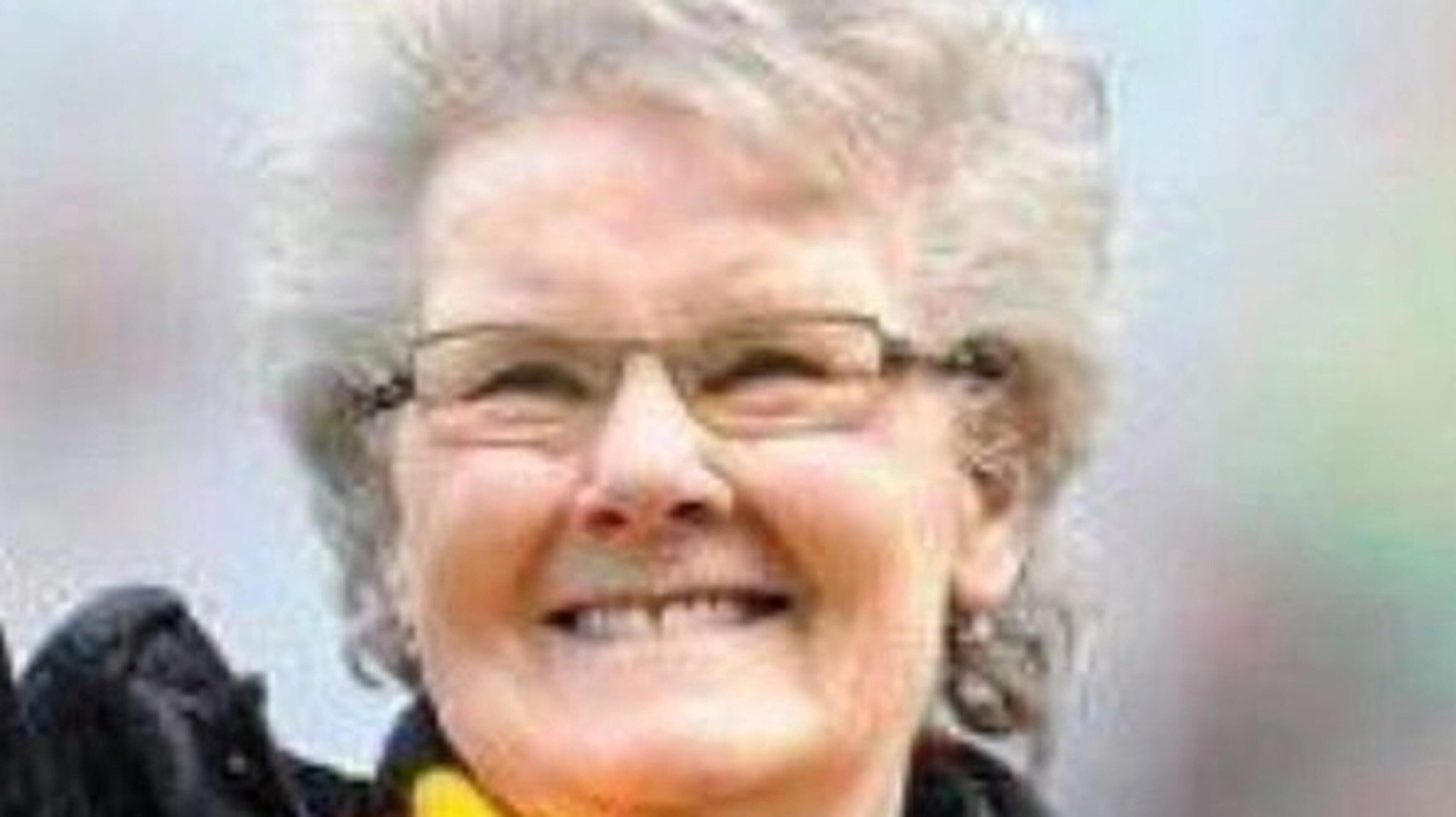 Mother of Wicklow GAA manager dies aged 90 just weeks after side’s historic Tailteann Cup victory