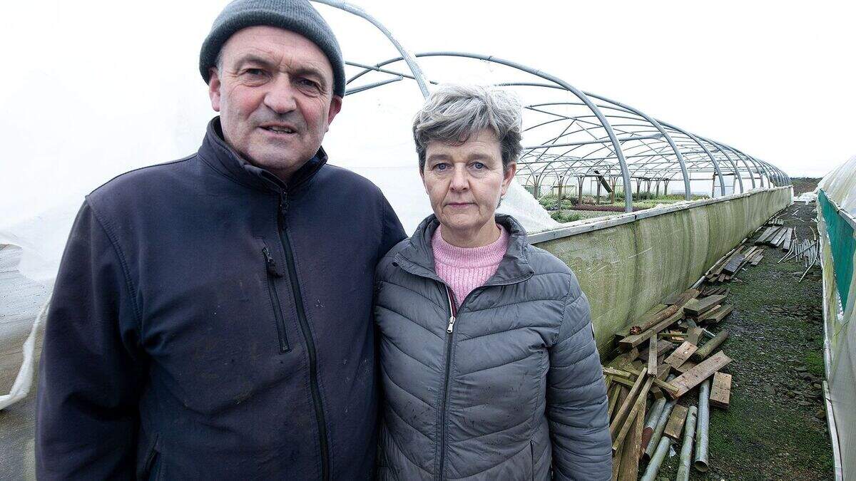 ‘Blood, sweat, and tears have gone into this’ – Wexford business facing ...