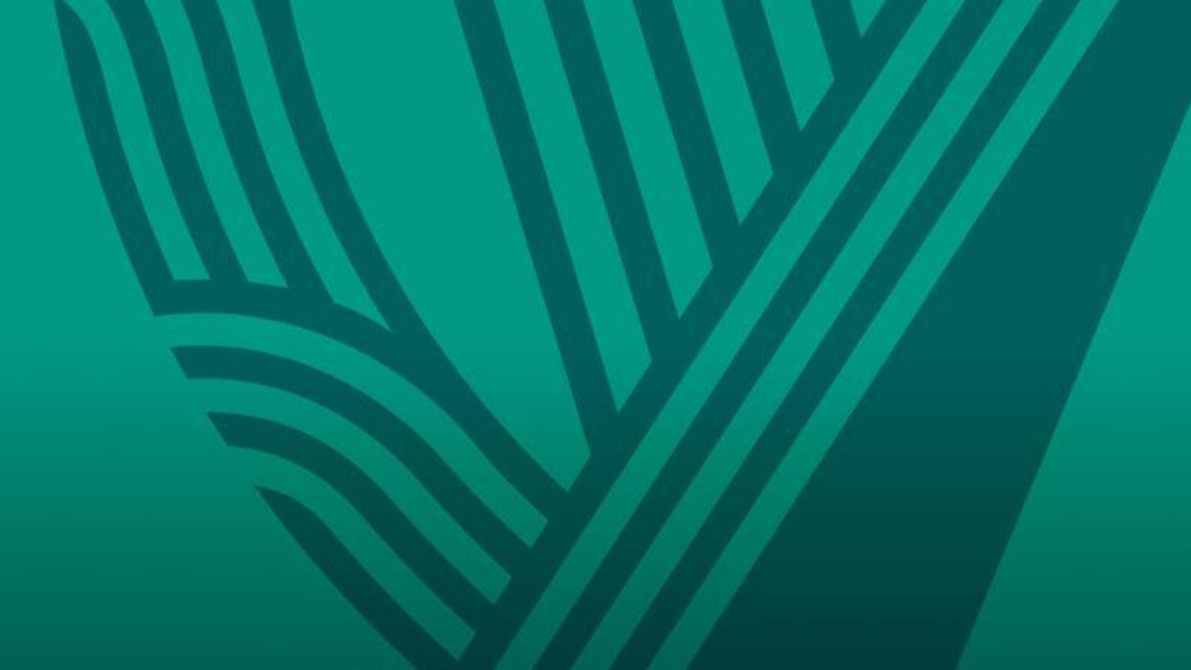 Bits & Bobs | Parrott's magic goal, Buzz Brothers™ Irish vibe check | Munster identity crisis | An unneccesary Gaelic Football facelift?