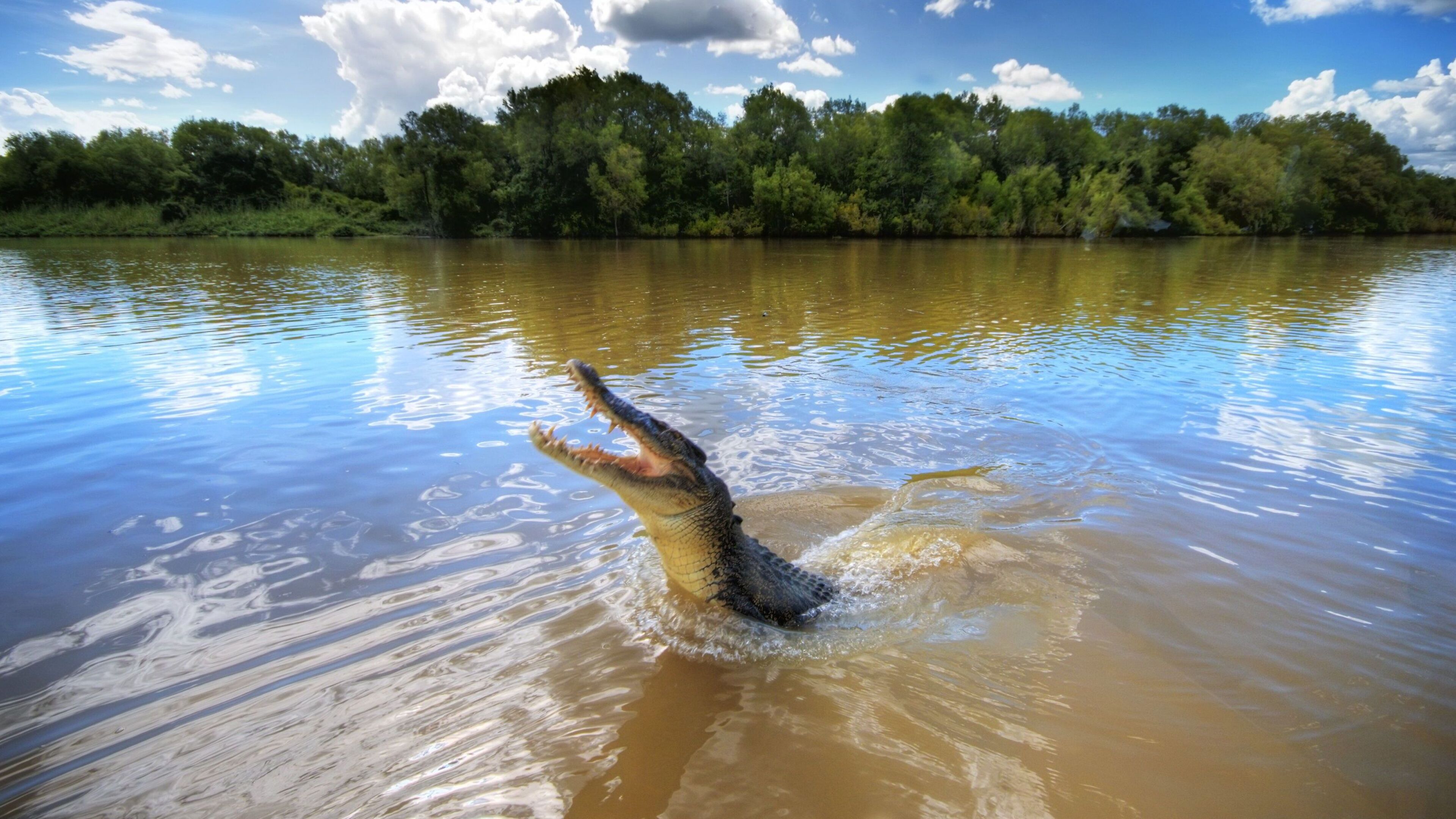Crocodile-infested river chosen as Olympic rowing venue