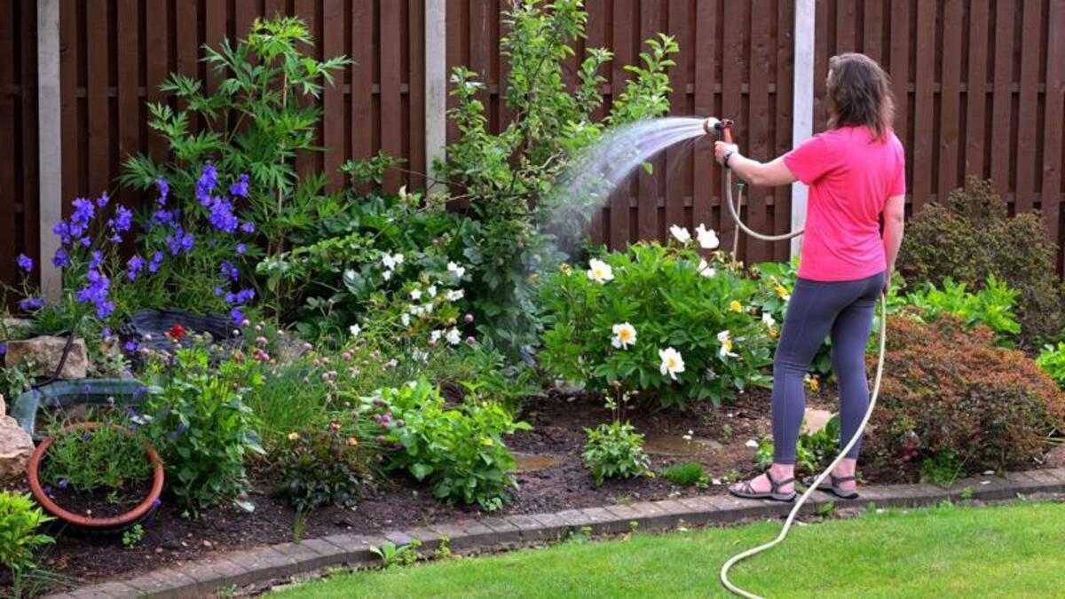 Sinéad Ryan: My hydrangeas are not to blame for water shortages – political cowardice is