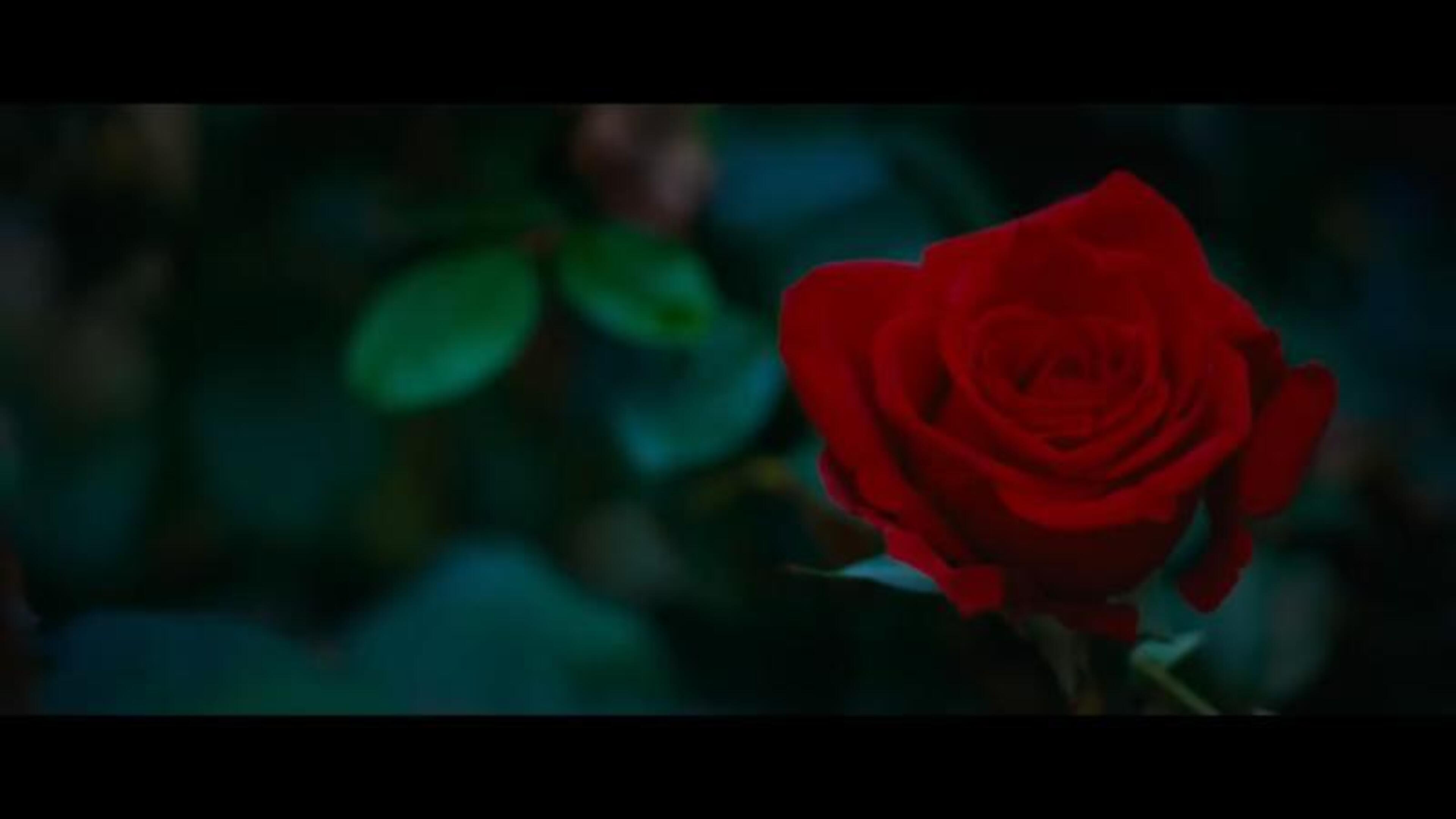 Rosebush Pruning: Shambolic rich-brat saga is high on thorns, low on blooms 