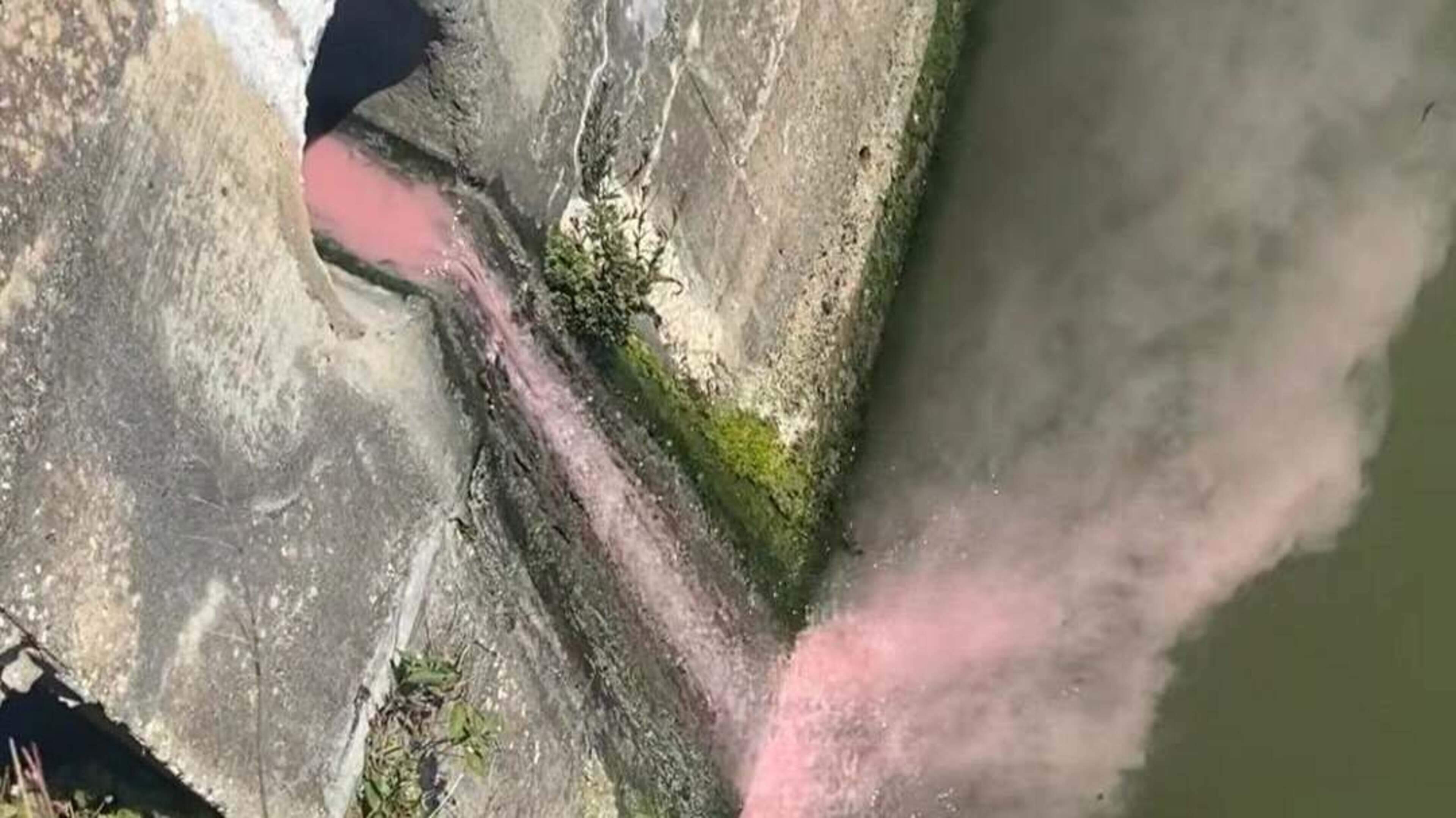 Discoloured water and scum in Wexford Harbour basin deepen pollution concerns 