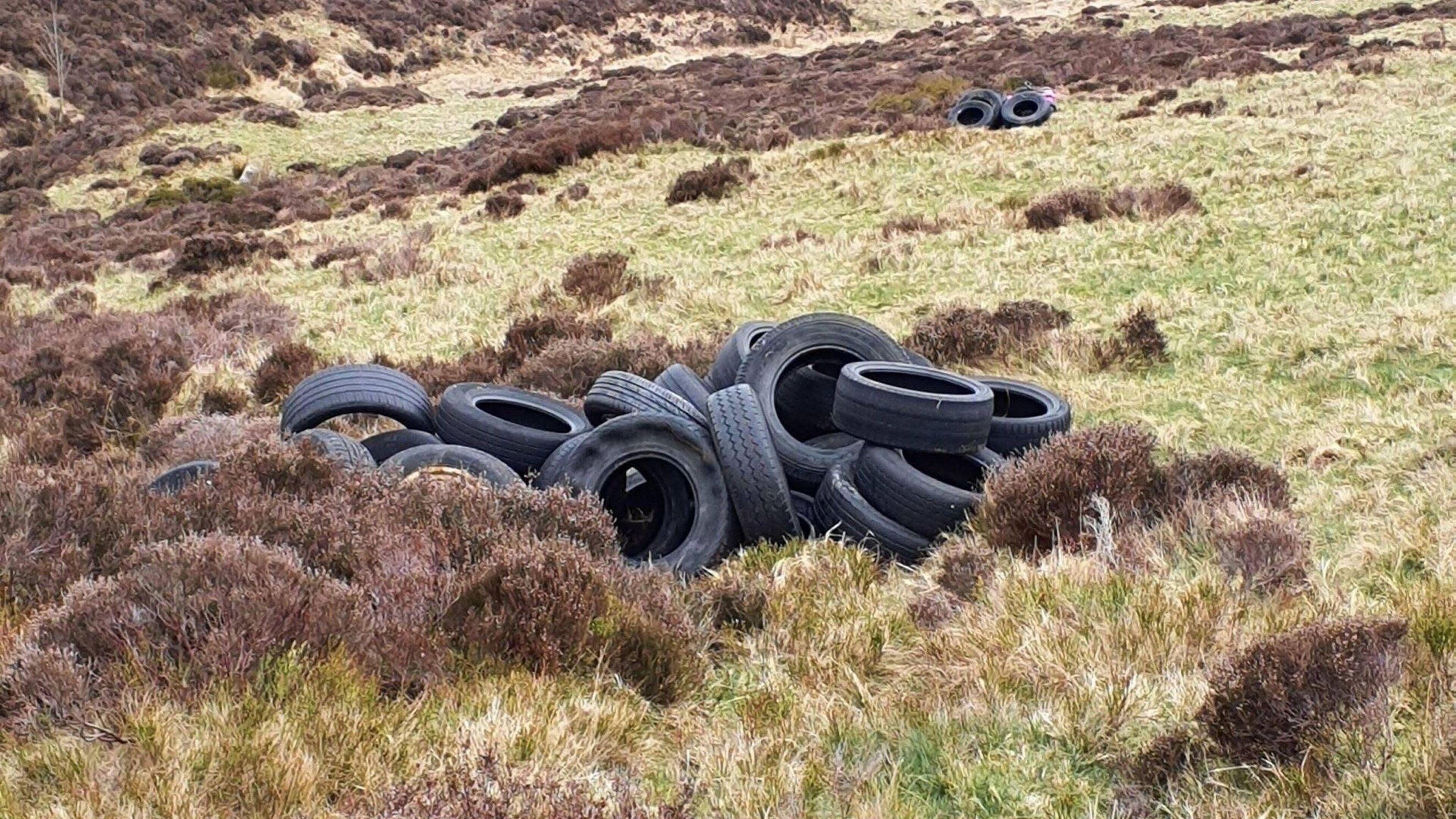 Over 200 tyres illegally dumped on Mount Leinster had been ‘deliberately rolled down the mountainside’ 