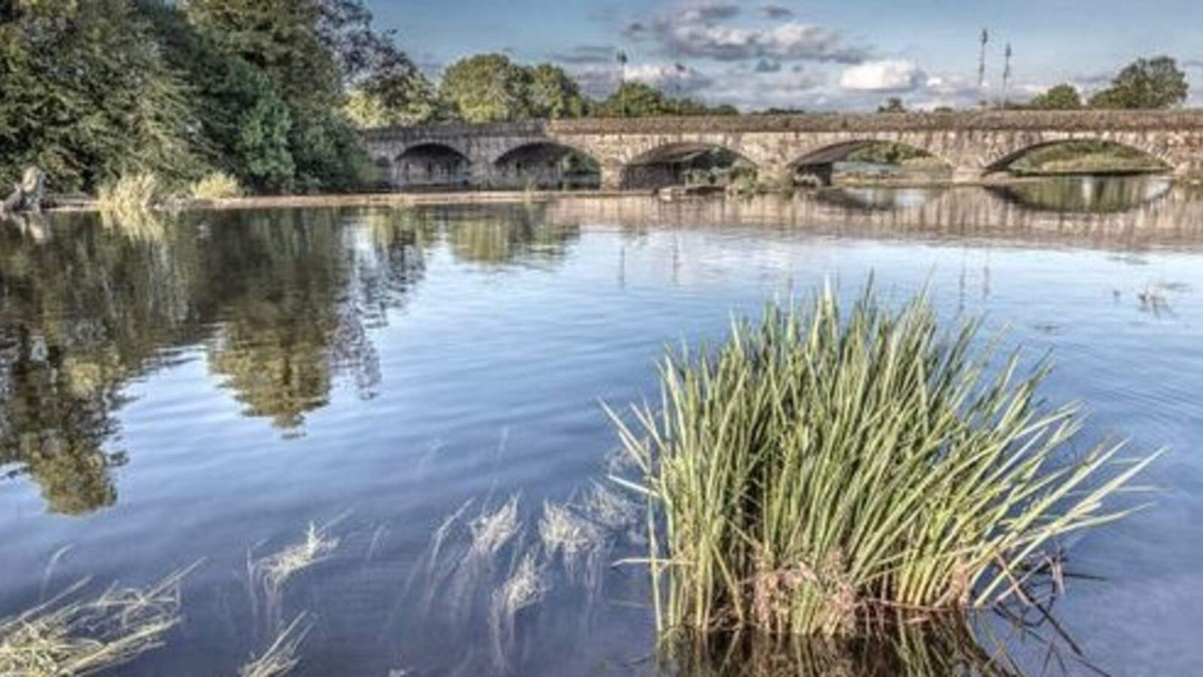 Government accused of lacking interest in damaged weir in Cork town