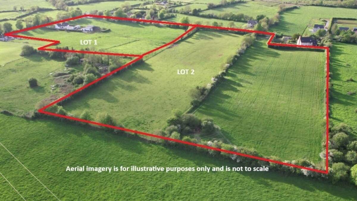Summer Auctions Sizzle as €26,000/ac Paid for Limerick Land