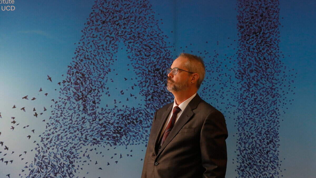 ‘It's a relief to come to a place where I don't have to hide what I want to work on' – new UCD AI Institute's American boss