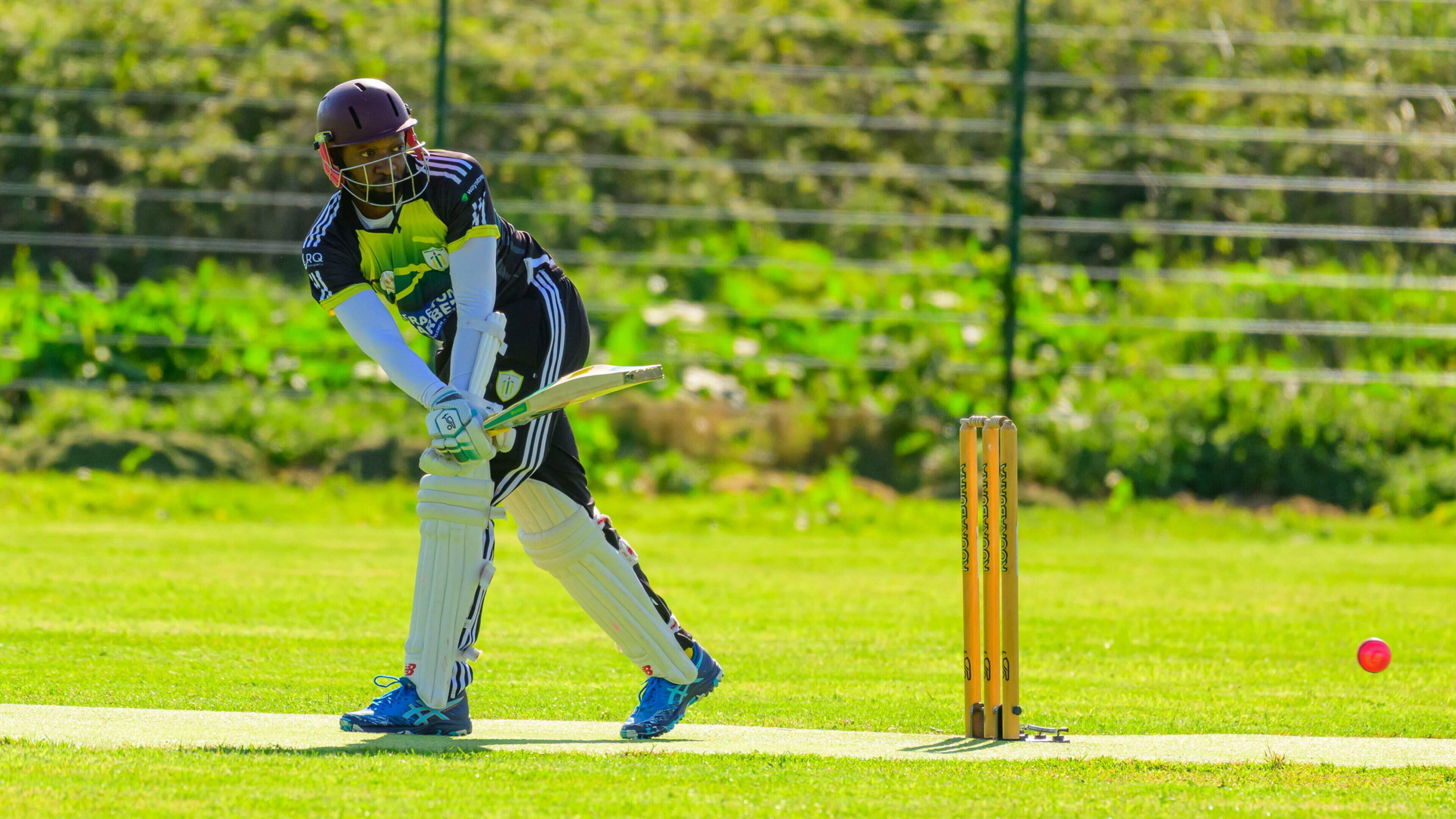 Two defeats for Dundalk Cricket Club but Emran bats well