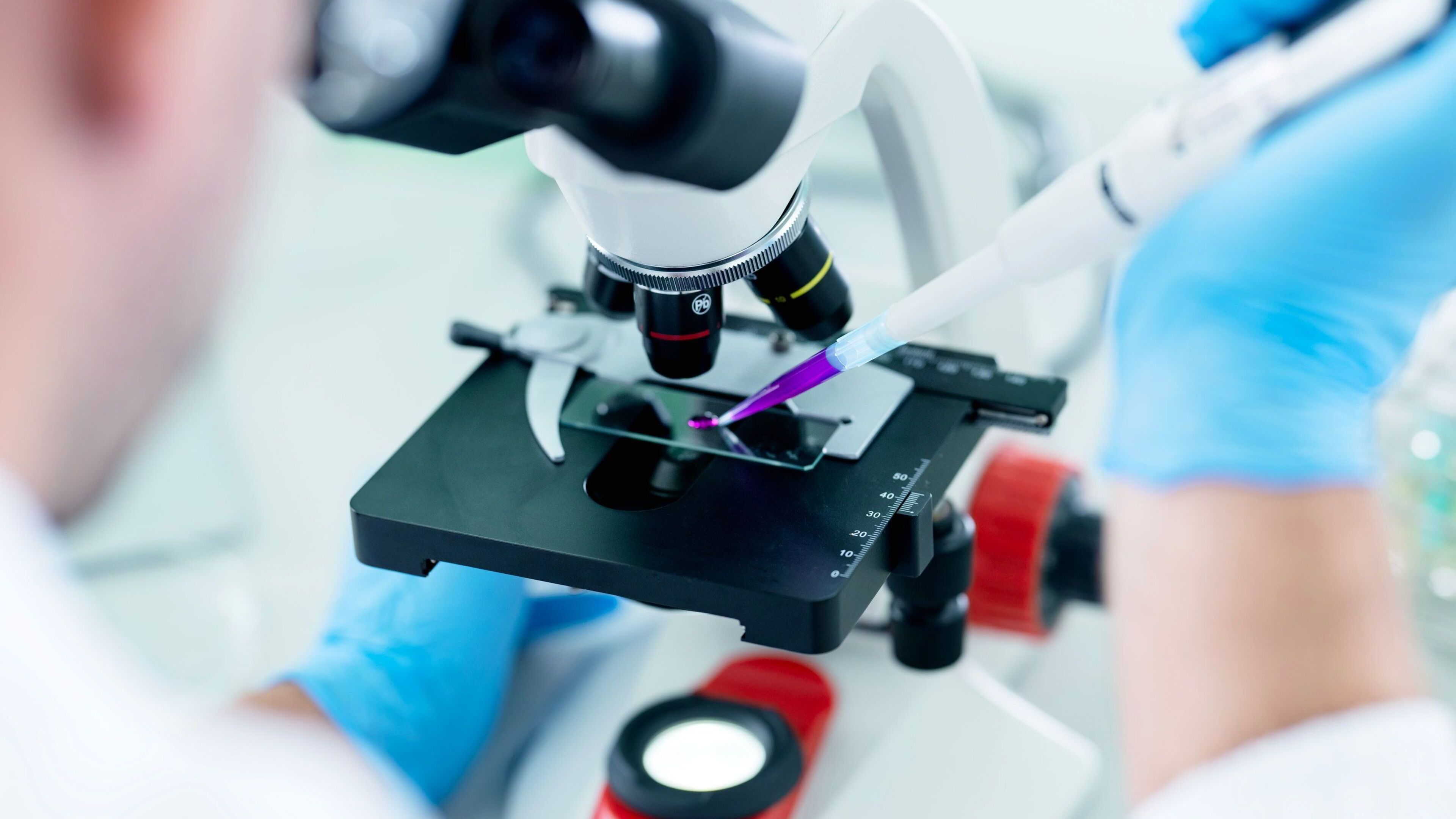 Scientists claim they have developed world’s first man-made cell that can eat and grow