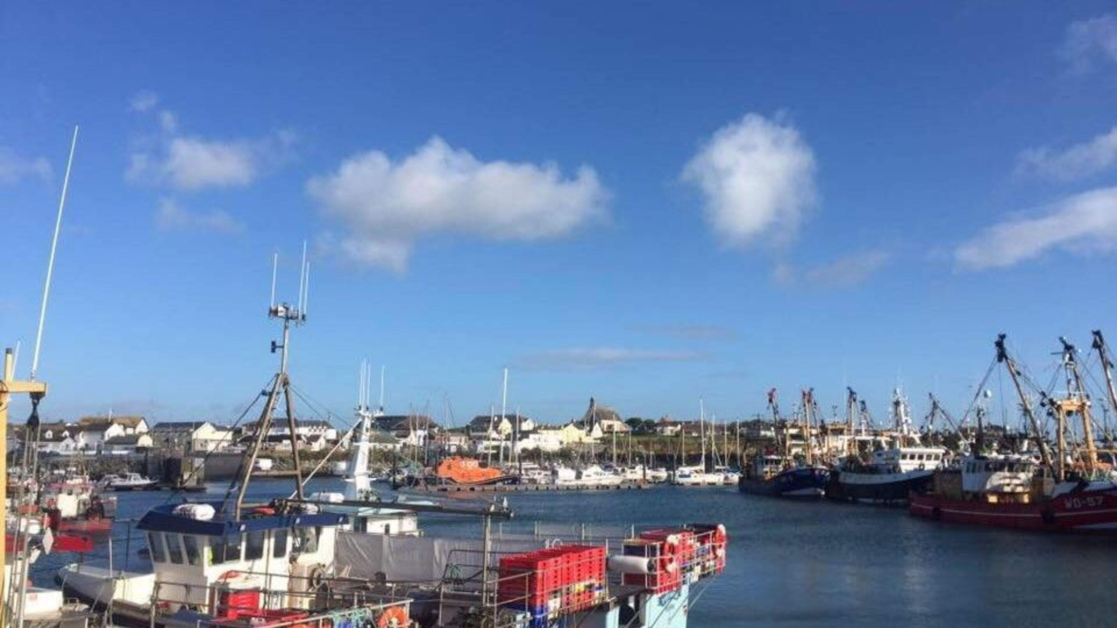 Calls for reform of Maritime Act as Wexford fishermen end up in court ‘beside murderers and drug traffickers’