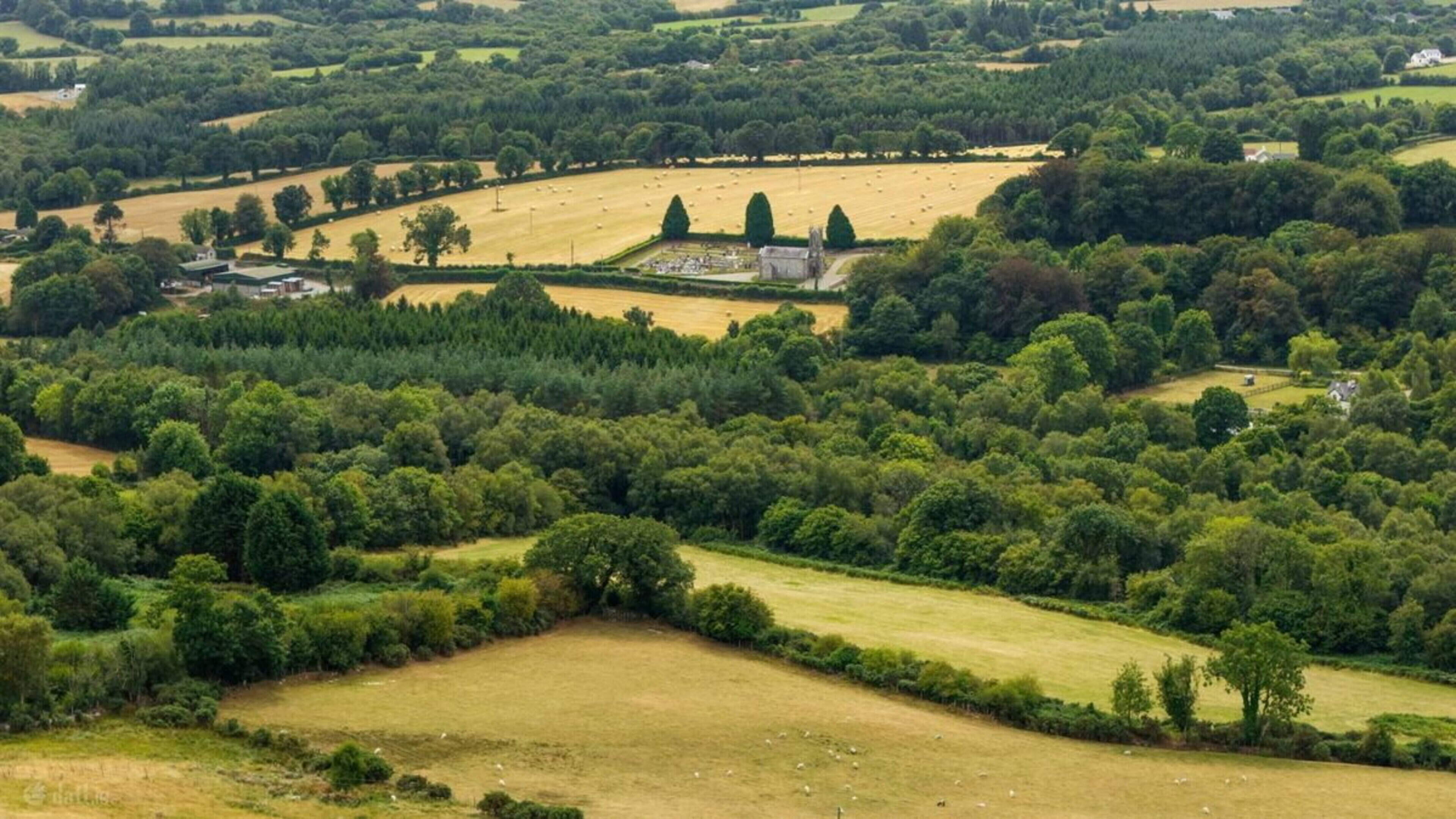 Two prime Wicklow farmland sites put on market including one next to major solar farm