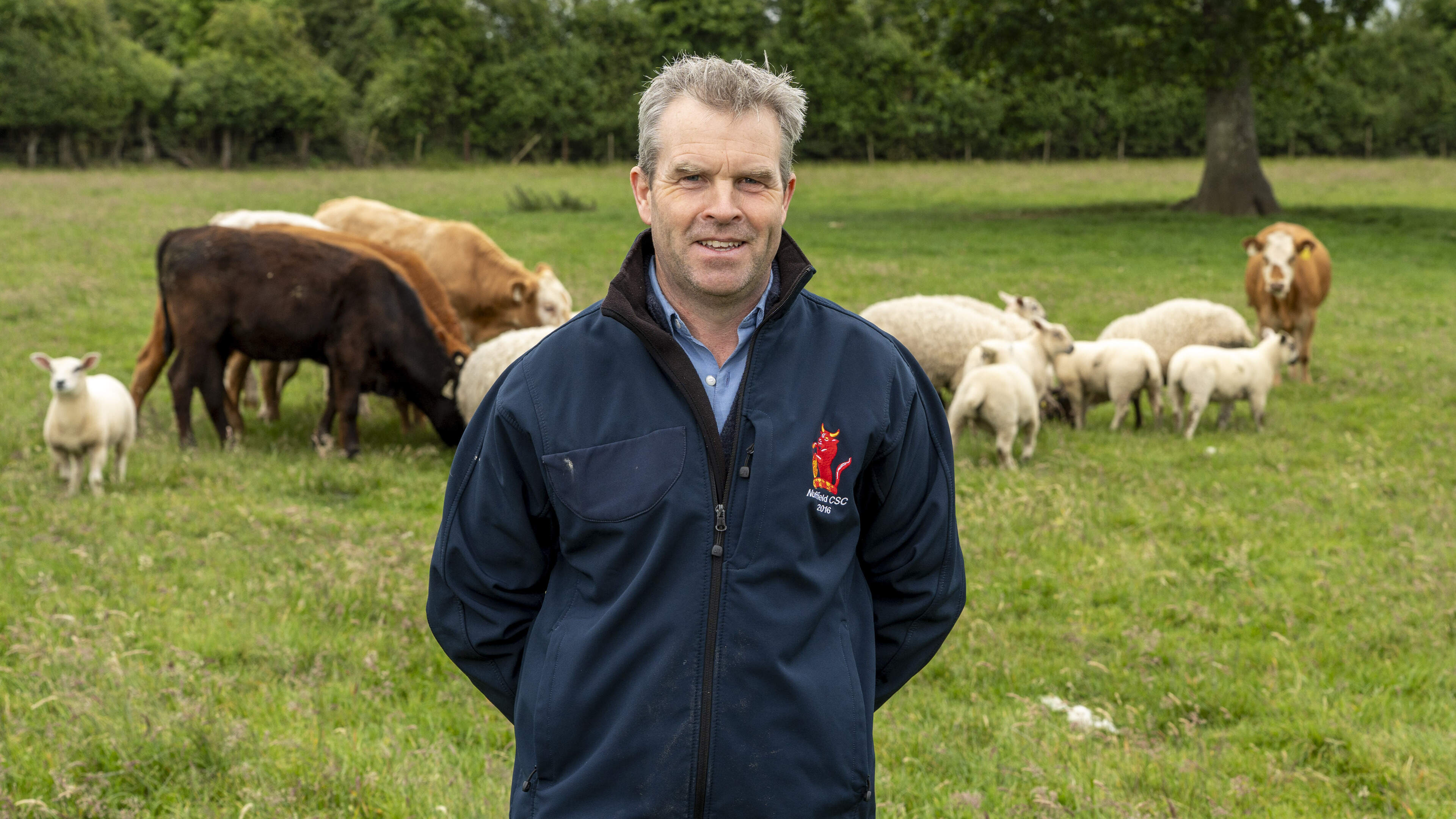 Who’s Barbara? The vicious parasite that caught me and my sheep by surprise