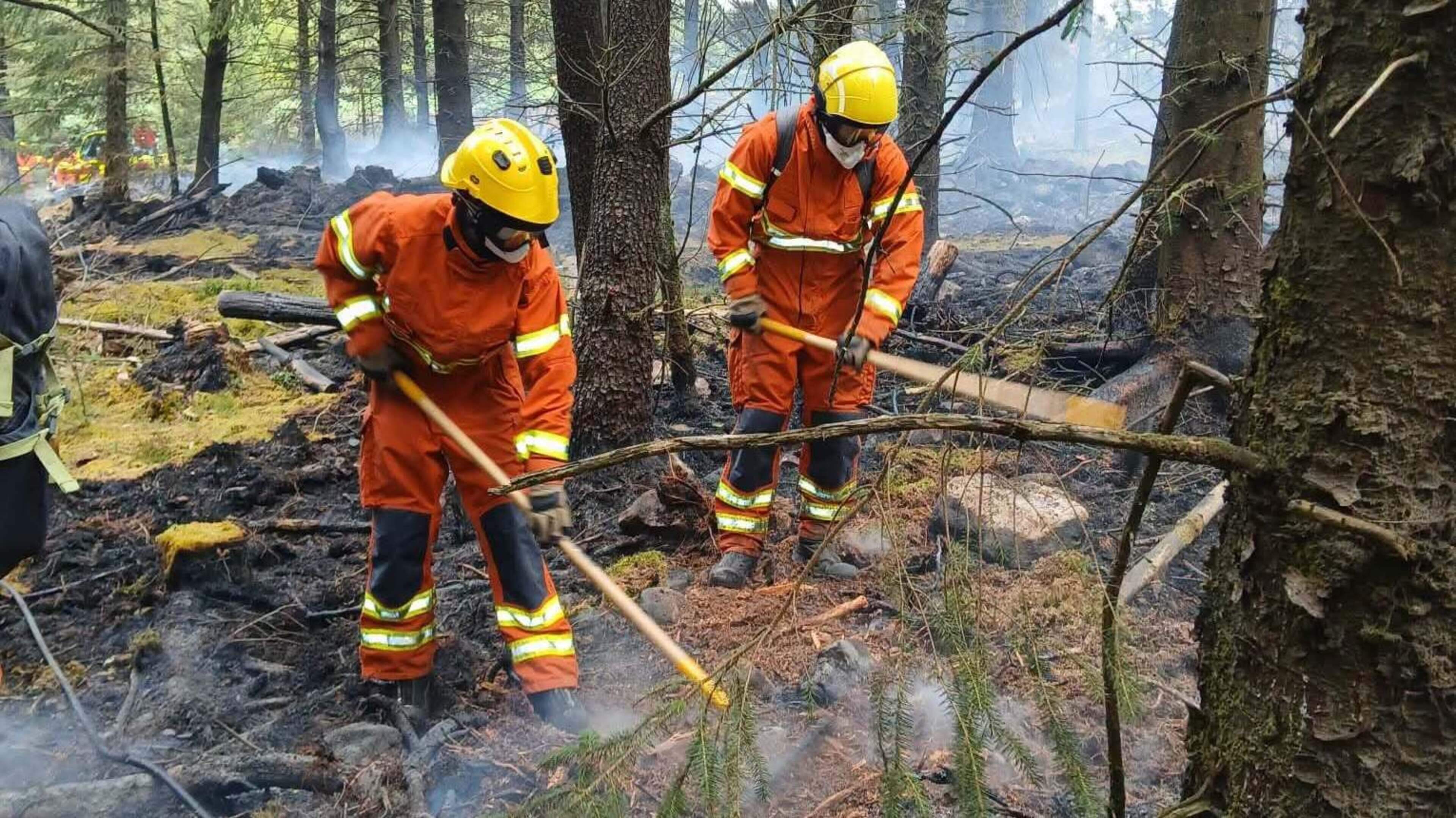 Tipperary fire crews tackle new hotspot as Slievenamon wildfire remains stable