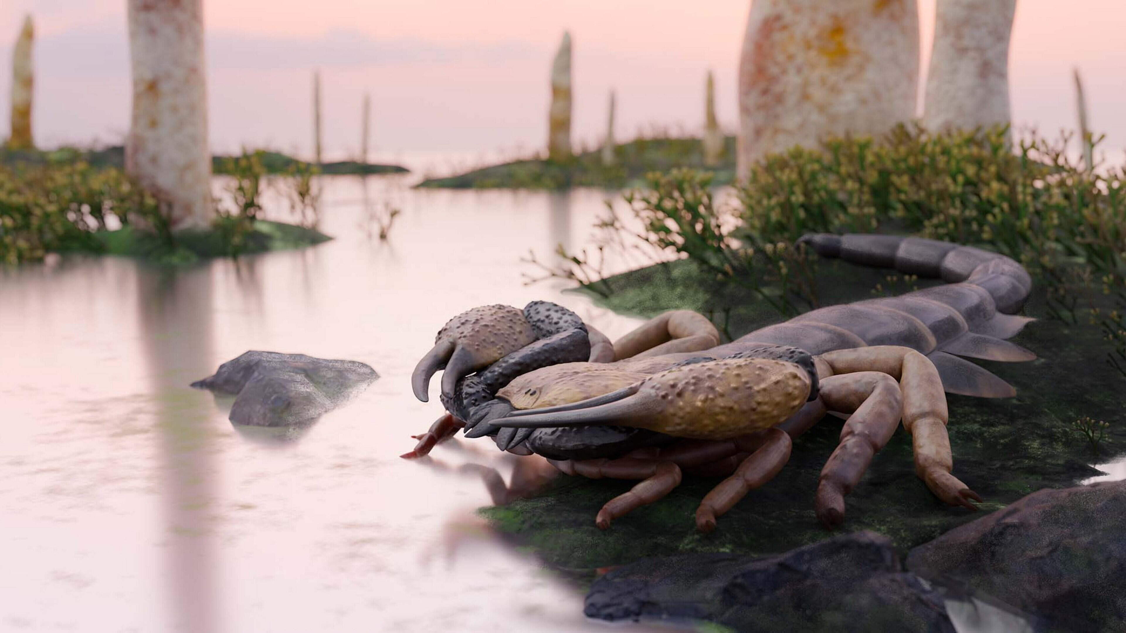 Gigantic scorpions with formidable pincers once roamed Britain, fossil reveals