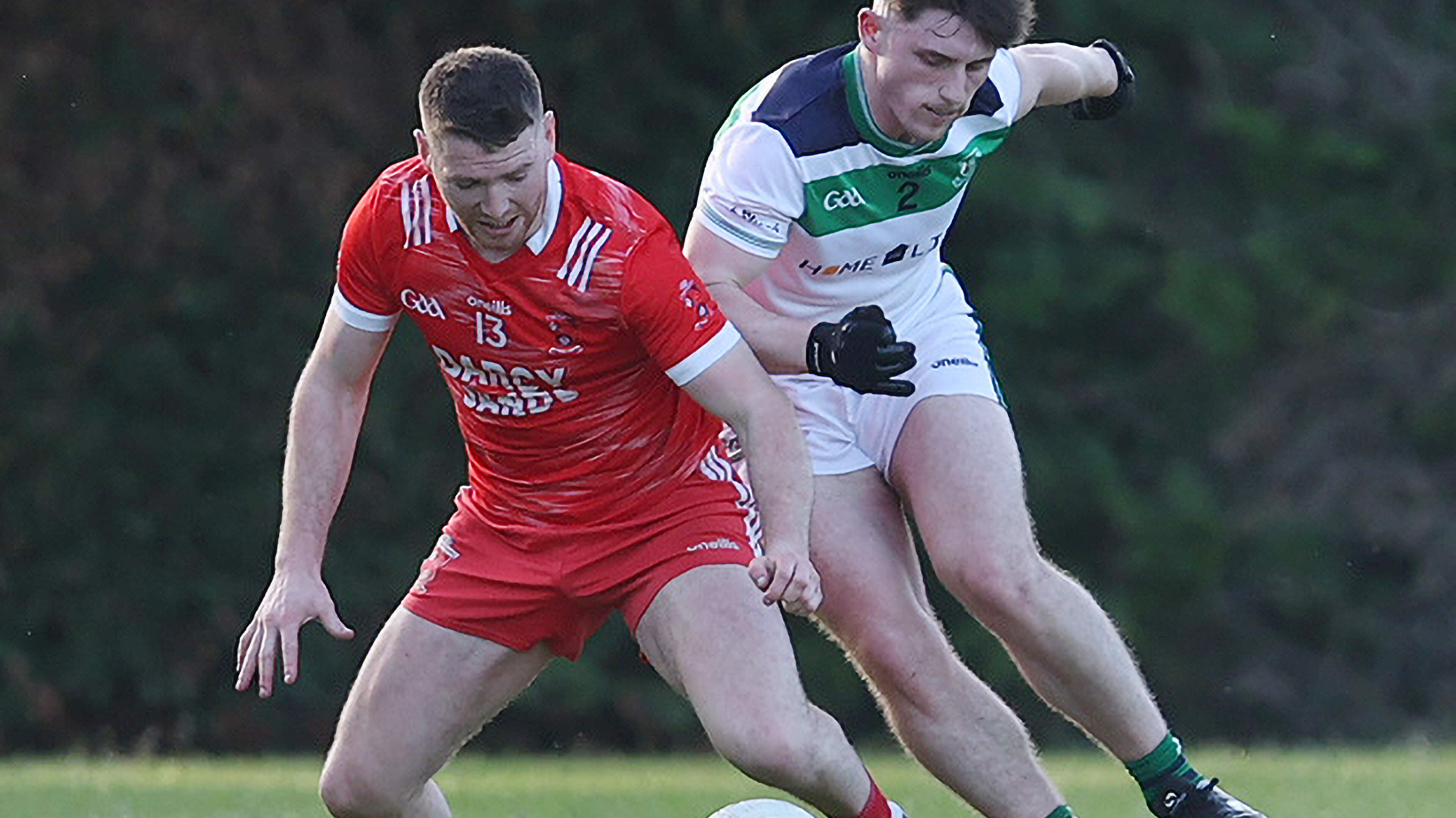 Tinahely and Bray share the spoils to remain in Wicklow Division One title hunt
