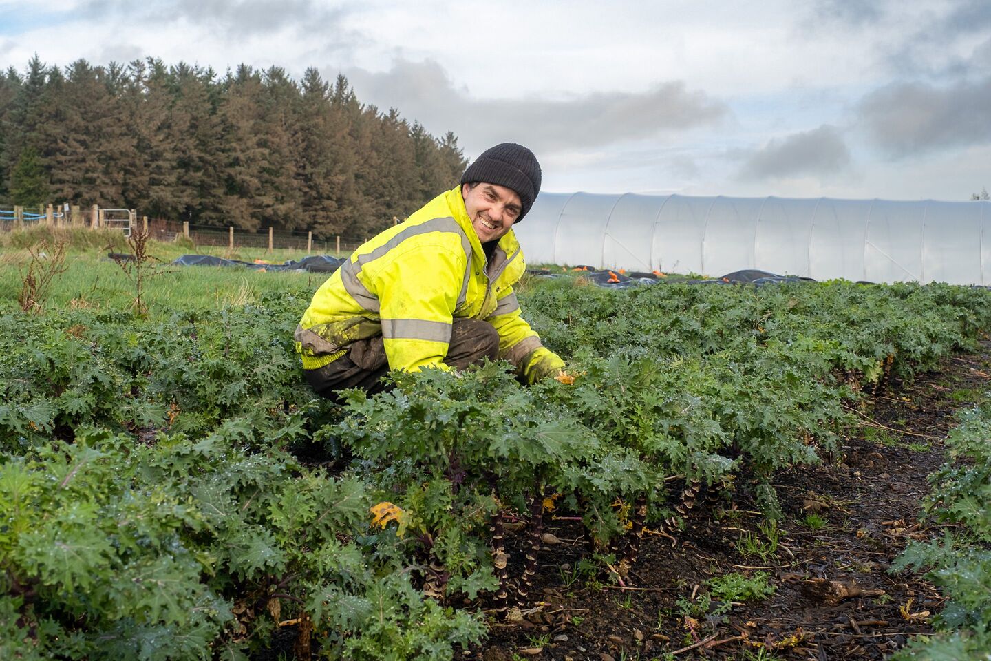 The tiny Wicklow farm producing big results for Dublin’s top ...