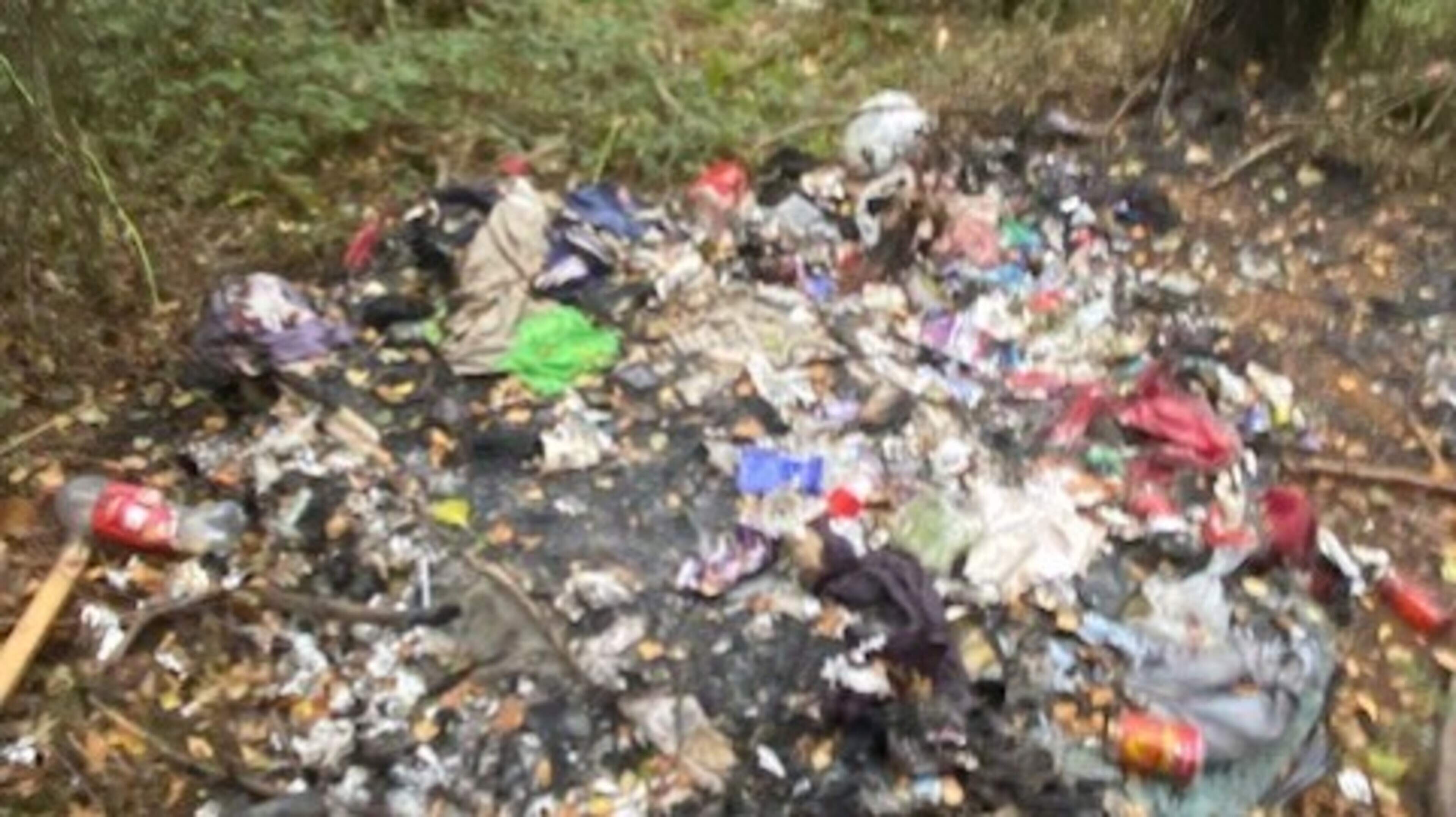 Renewed safety fears for Wexford woodland trail as littering and anti-social behaviour escalates