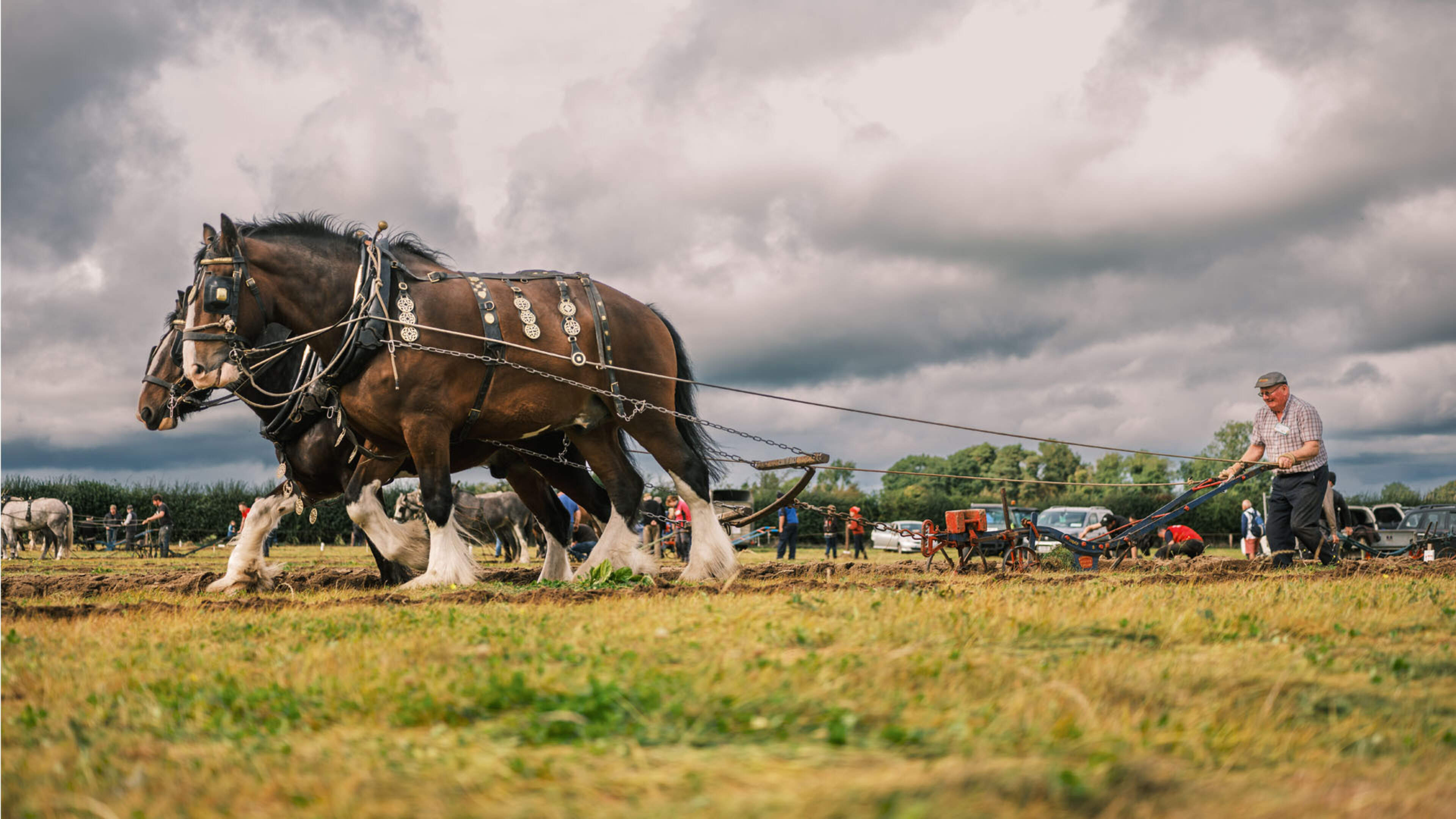 Ploughing in pictures: A day in the life at the Ploughing Championships 2026