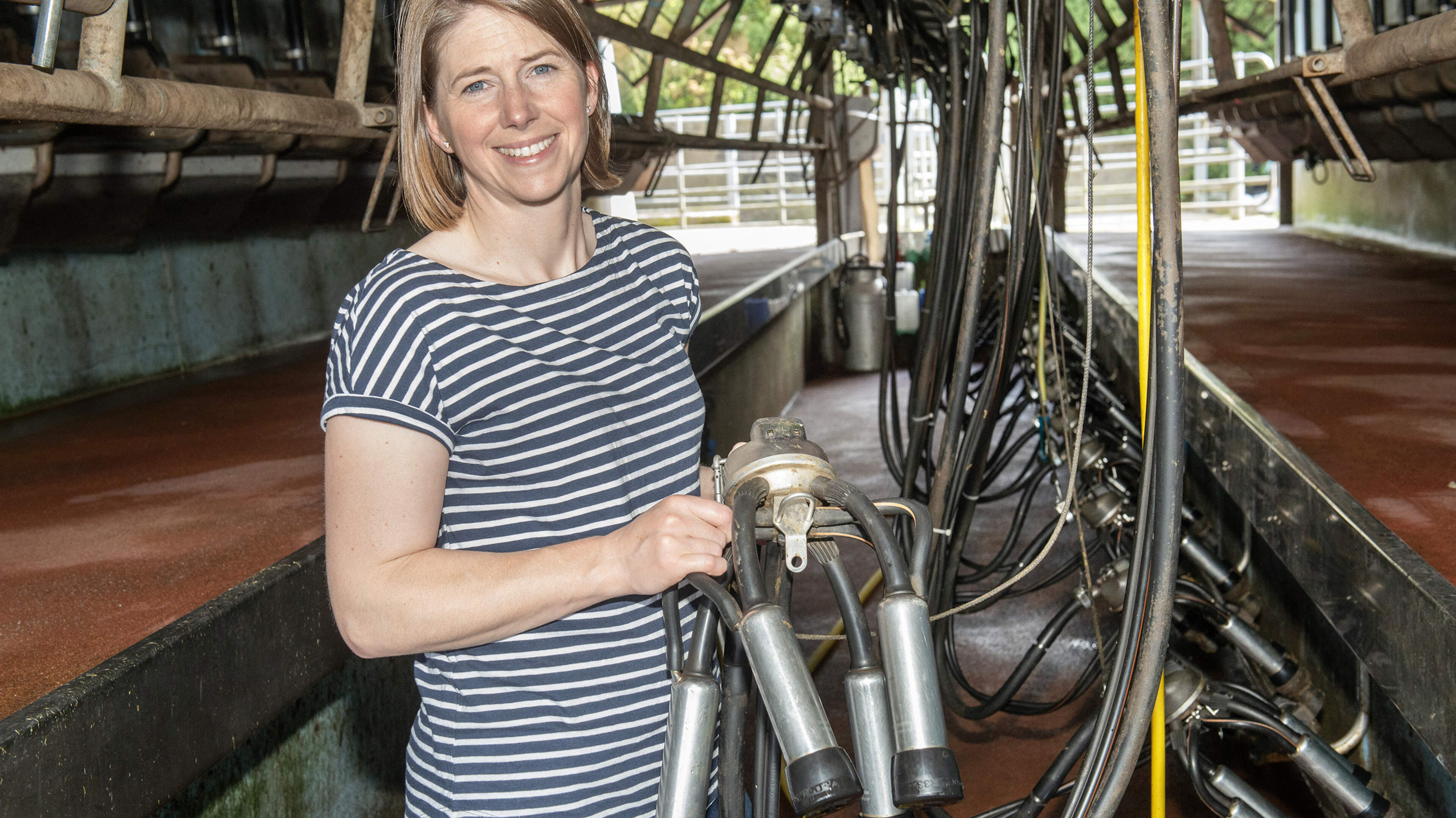 I saw Ireland’s dairy future in a Dutch farmyard warning