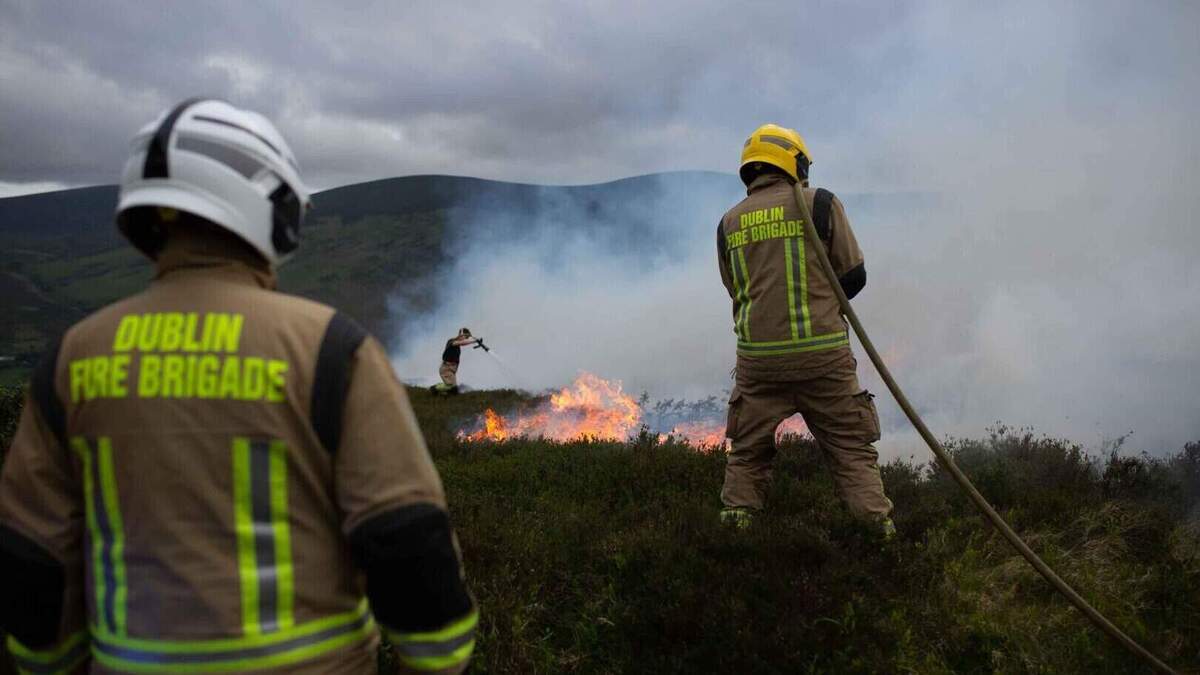 Gorse fires spark call for multi-agency plan to tackle Dublin Mountains threat
