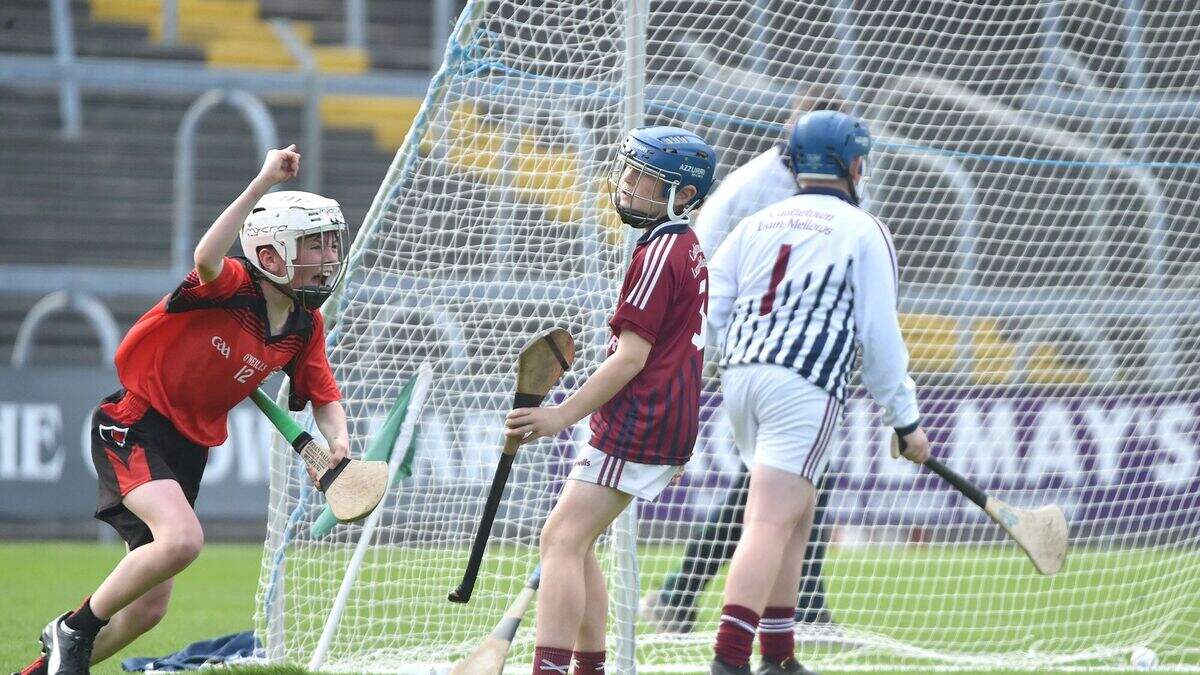 Oulart-The Ballagh edge out Castletown in classic Rackard League ...