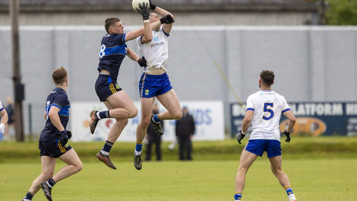 How Wicklow managed Tipperary threat expertly to move closer to Tailteann Cup business end