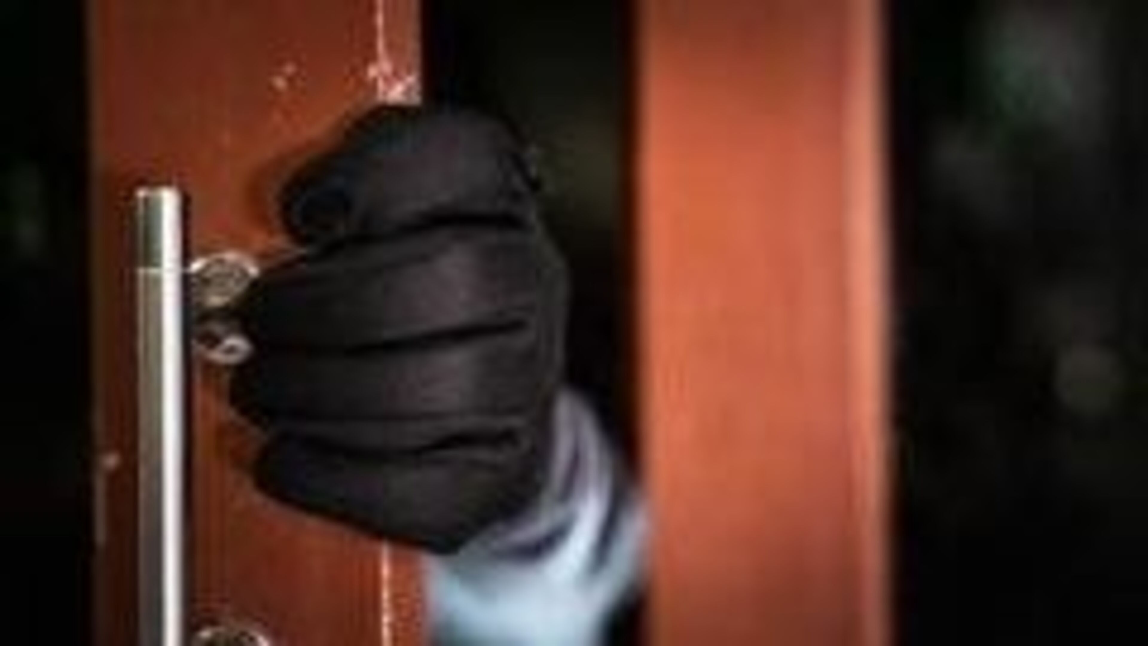 Limerick homeowner shocked to discover two men inside property as investigation launched