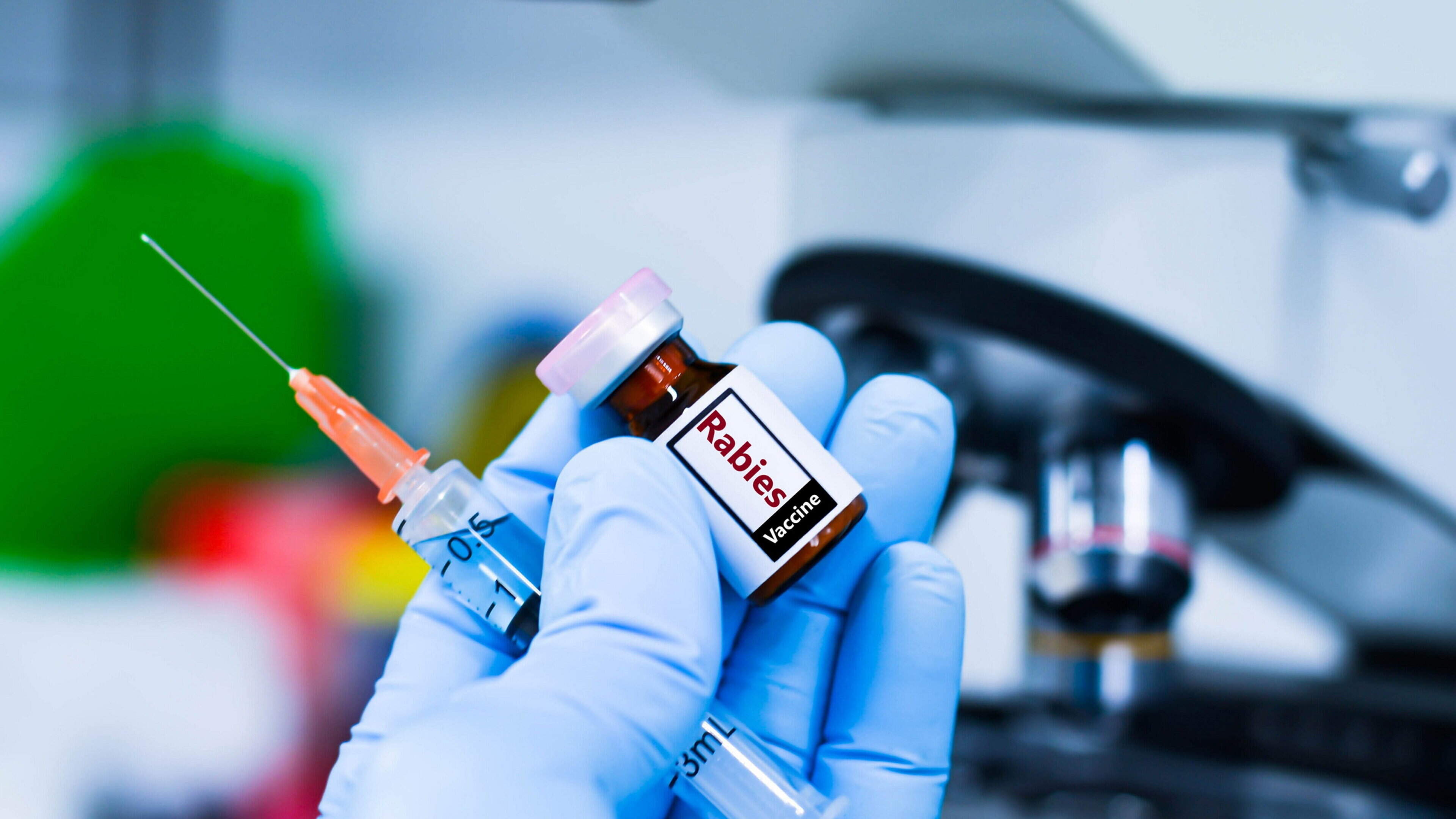 Rabies vaccine use in Ireland jumps 249pc as doctors and public become more alert to infection risk