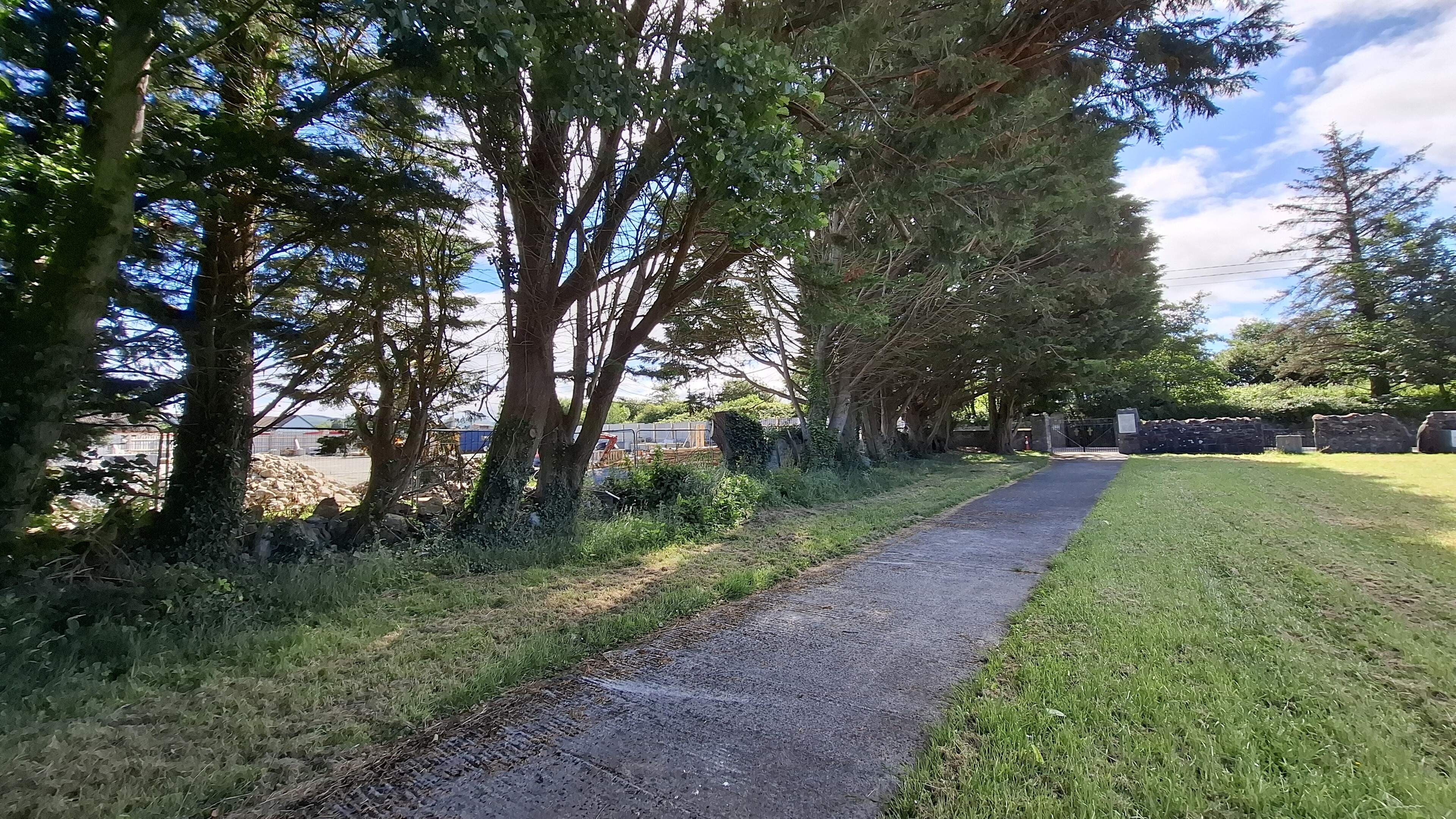 Sacred burial ground at centre of tree removal concerns – ‘We’d be horrified if human remains were disturbed’ 