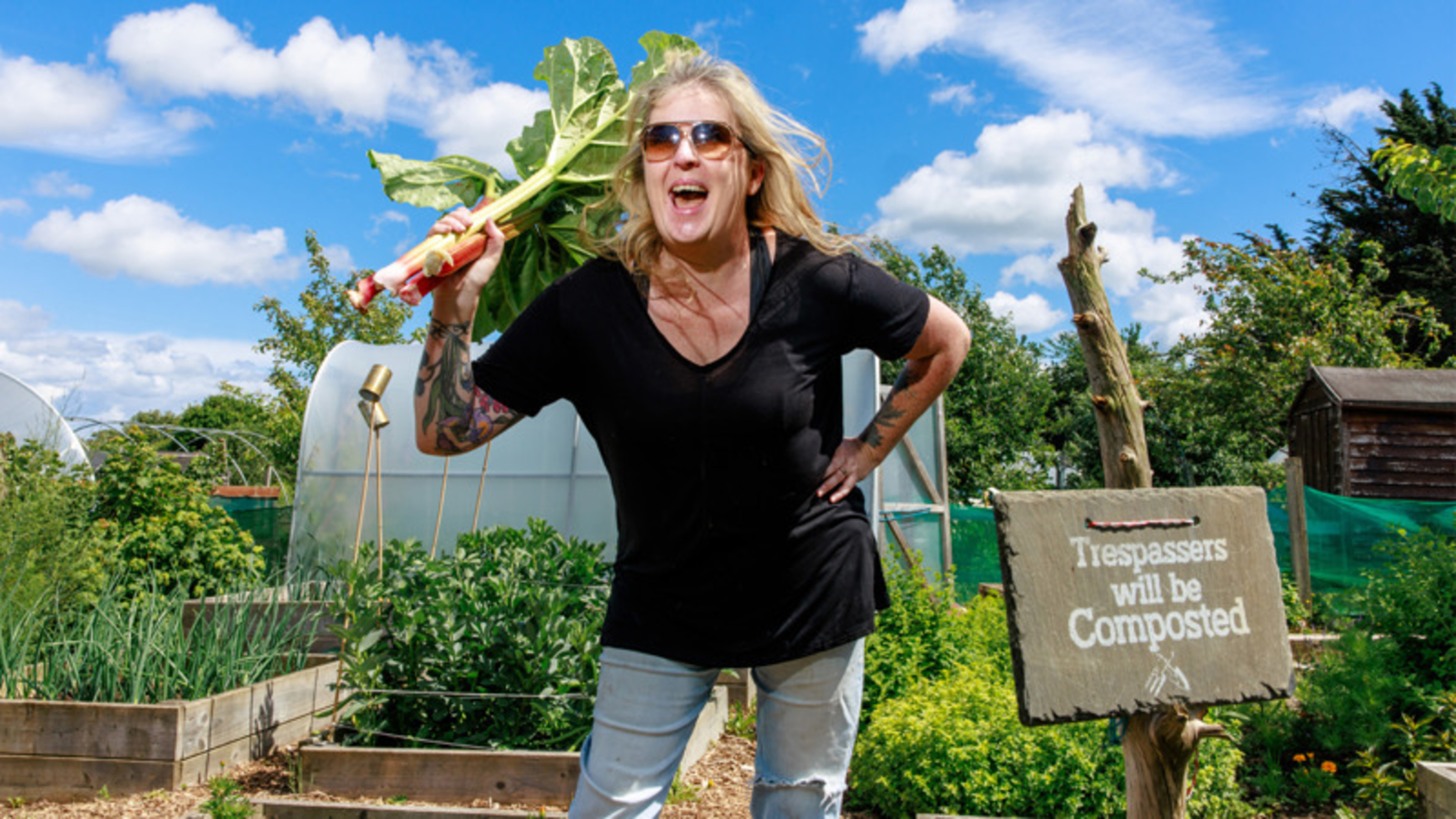 Allotment wars: What starts as healthy competition over who has the biggest carrots can descend into jealousy and petty crime 