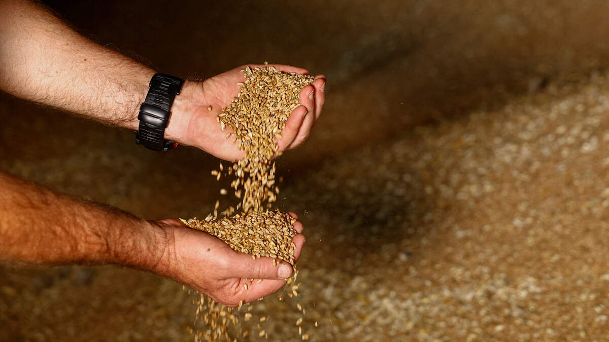 War, weather push crop prices to biggest monthly gain since 2012