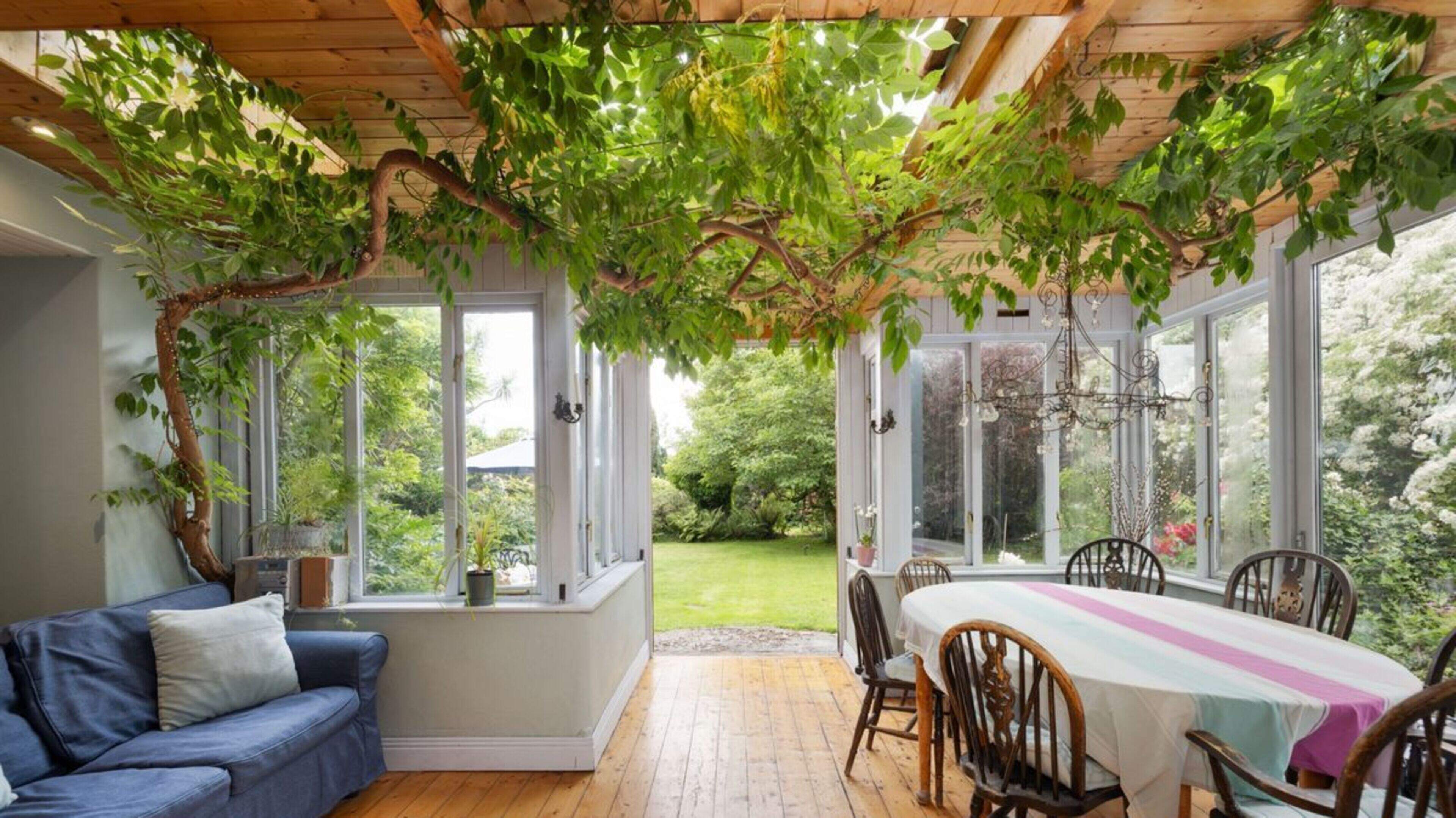 Wicklow home with wisteria-filled sunroom on the market for €1.2 million
