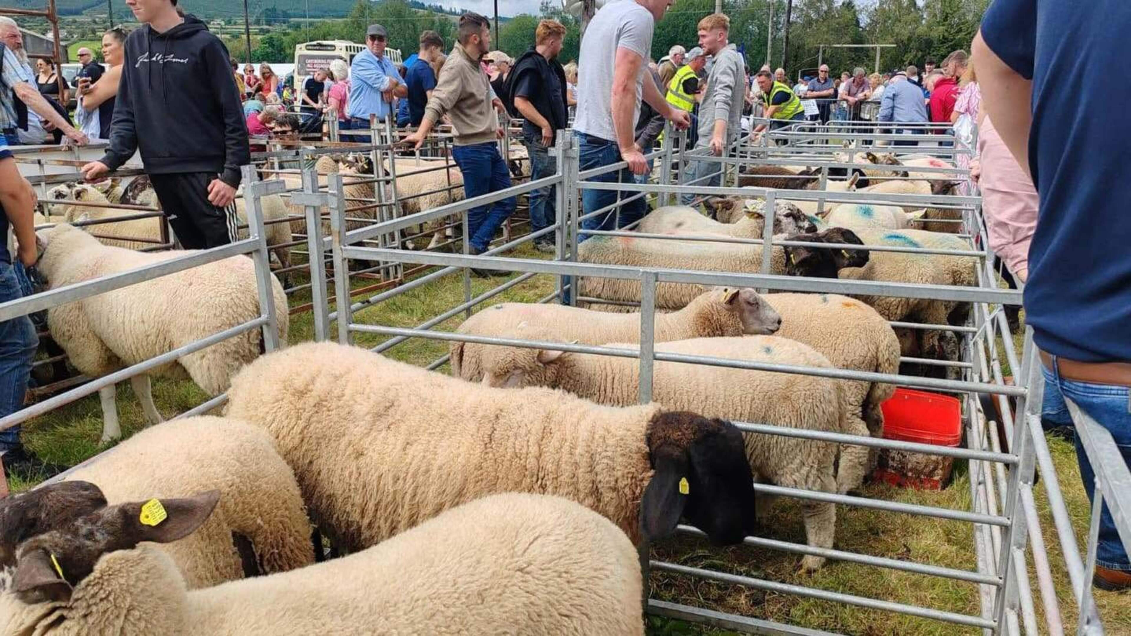 Annual agricultural show returns to Wicklow village in a celebration of rural life and old traditions