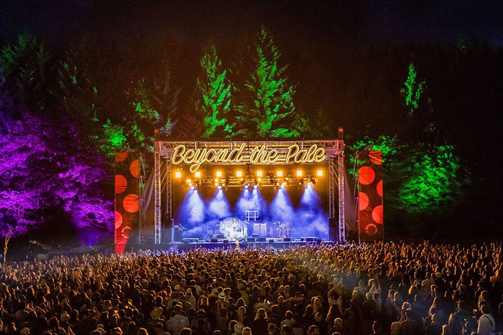 Beyond The Pale 2025: All you need to know about Wicklow’s eclectic ...