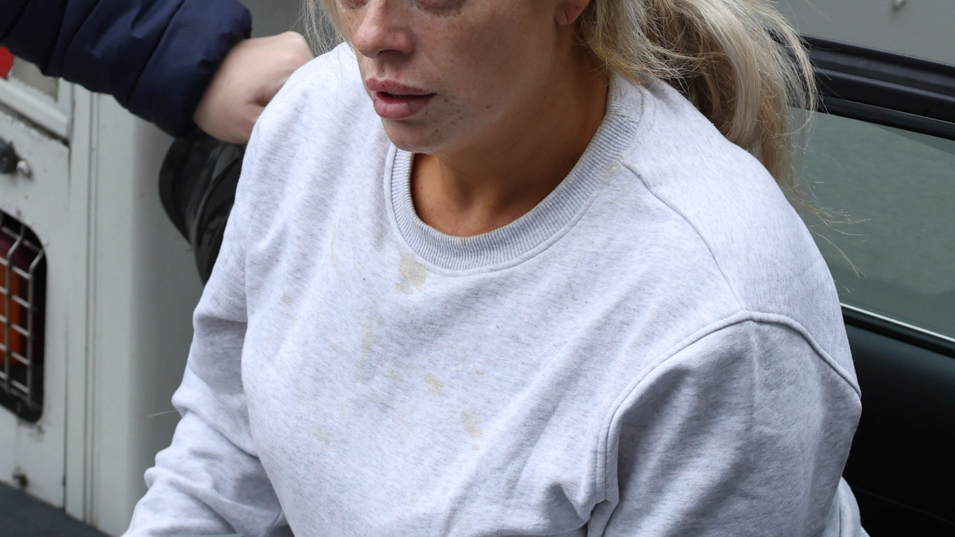 Woman faces trial over alleged bomb threats and false imprisonment in row over missing dog