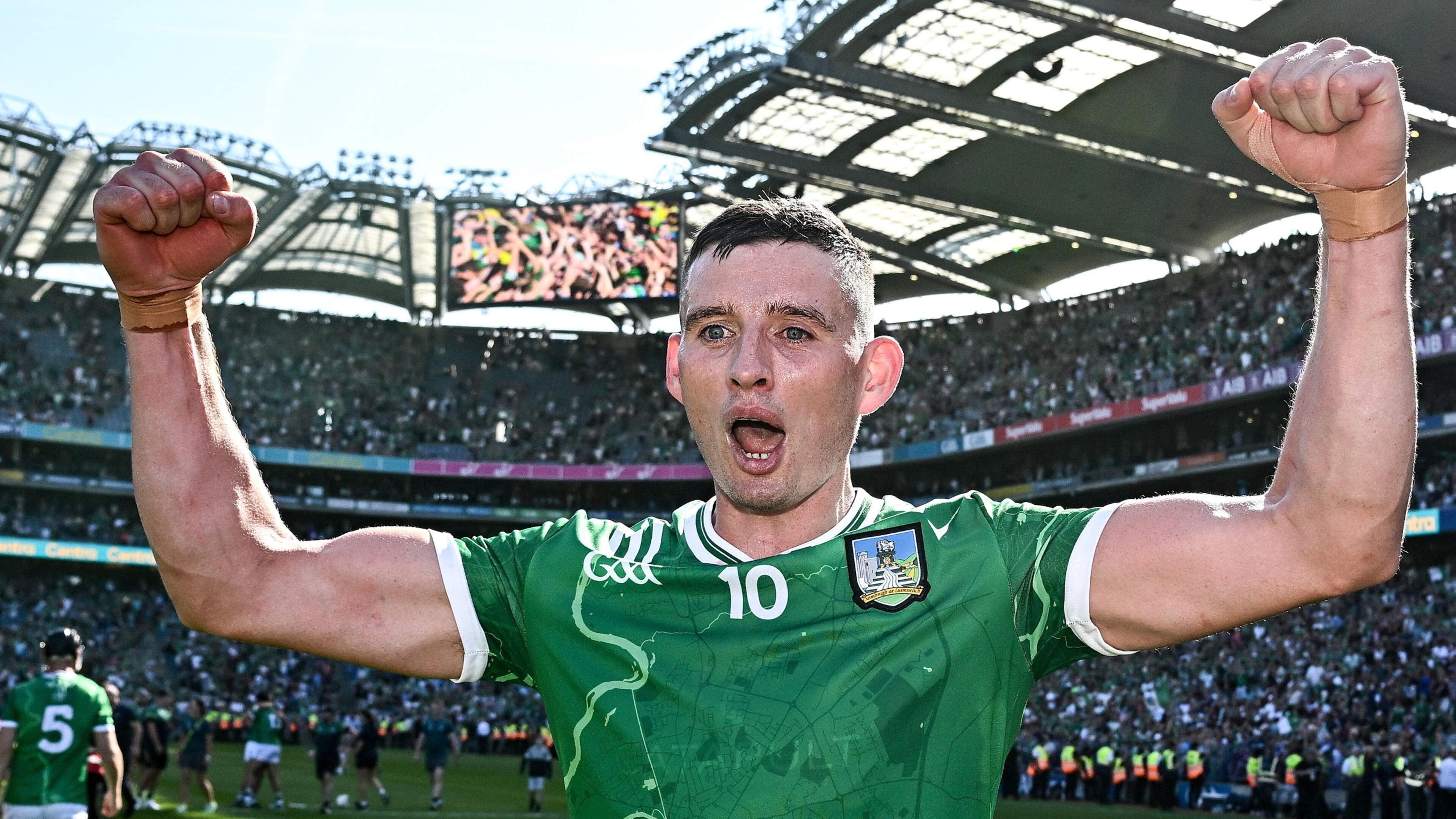 Martin Breheny: Hegarty v Brennan on VAR – Limerick star is on right side as GAA considers video technology