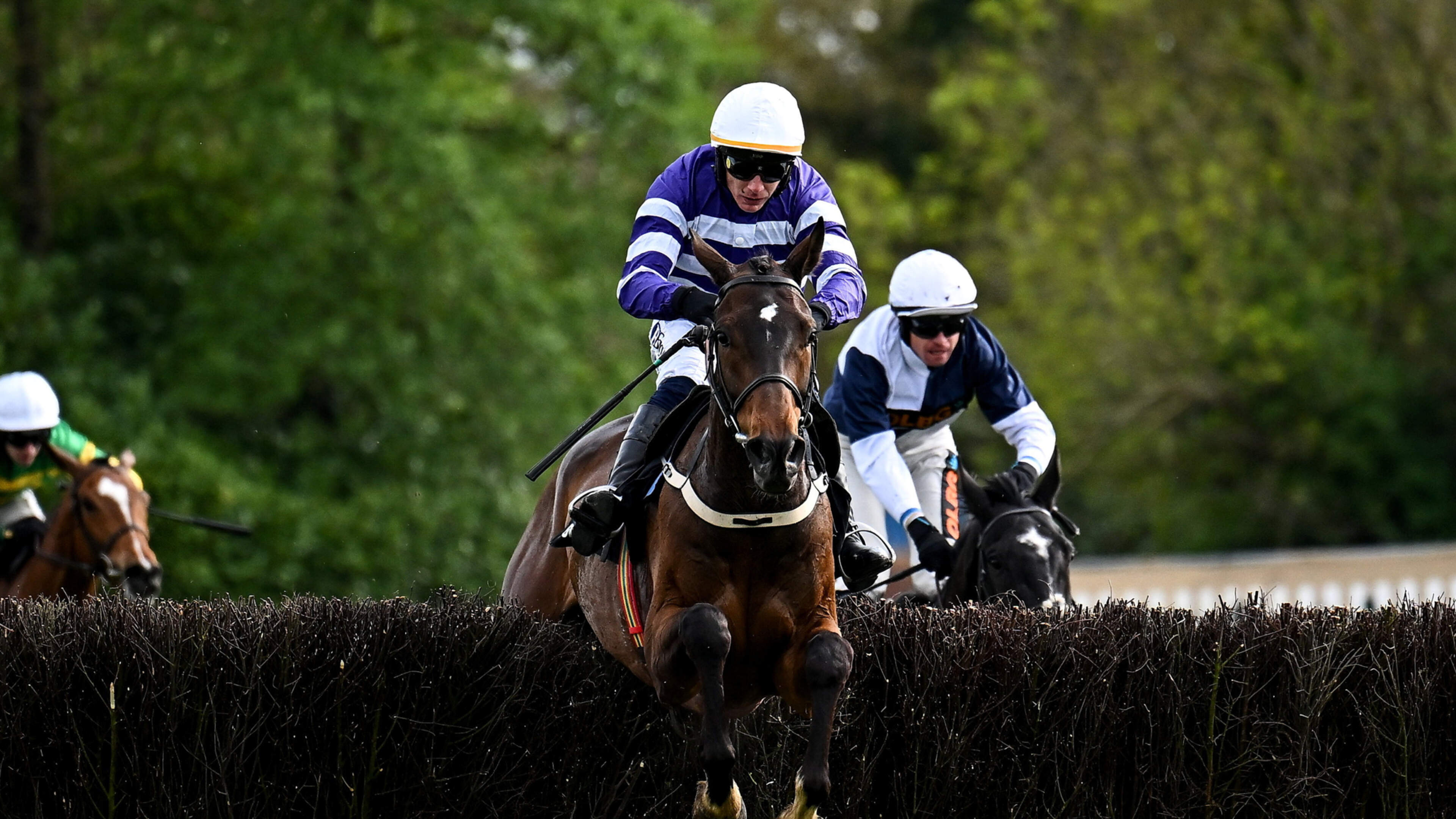 Patrick Mullins: Funiculi Funicula can serve up Plate success for Closutton on Day 3 of Galway Festival