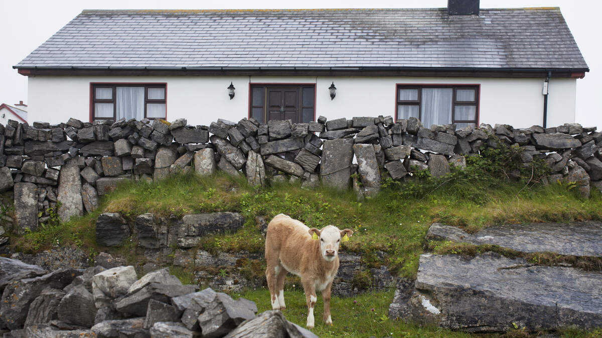 Mark Keenan: Country mouse gains the upper hand on housing — an opportunely timed win in the ribbon development war