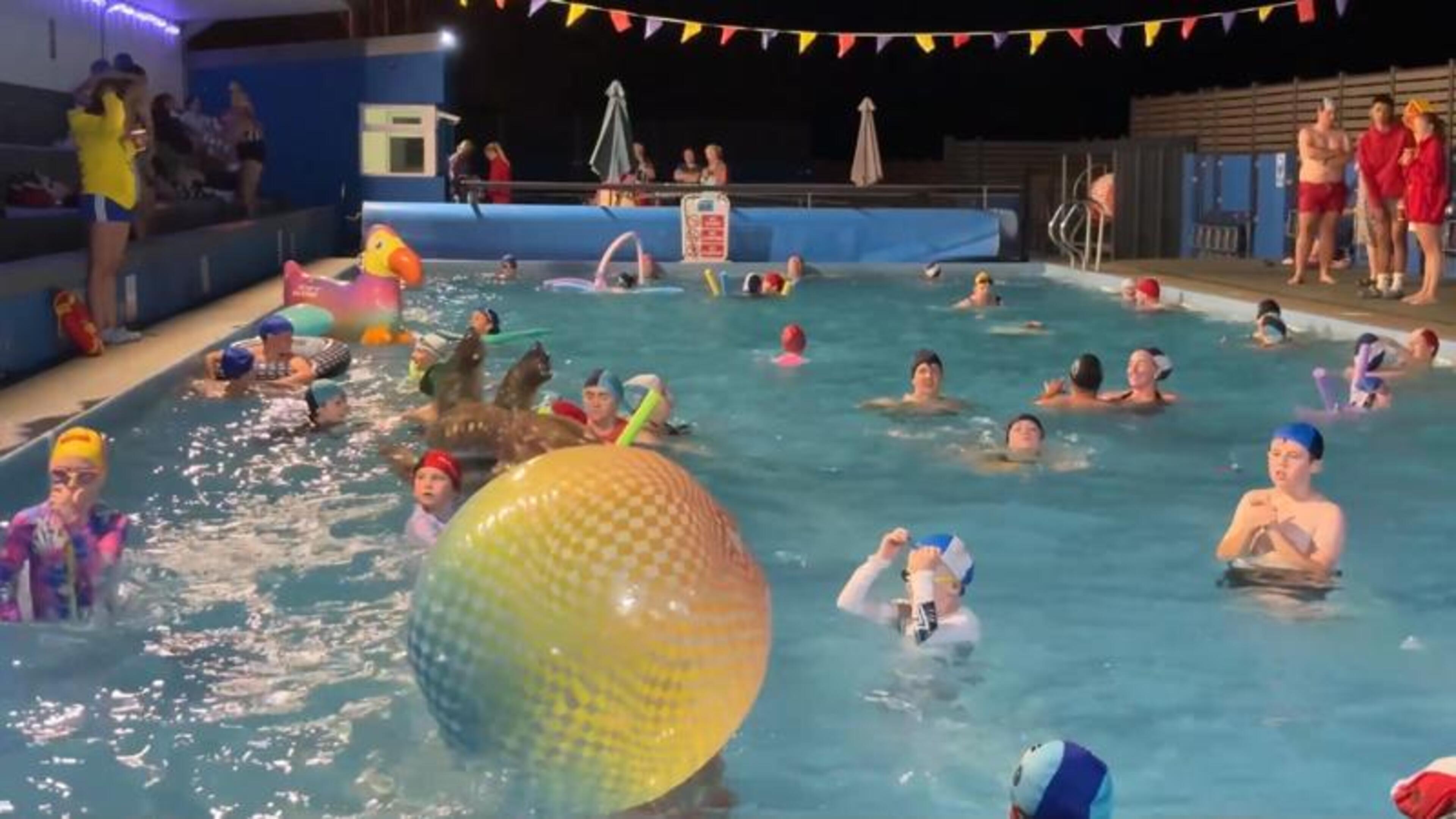 Swimming under the stars in Carlow: How a community found a unique way of staying cool this summer