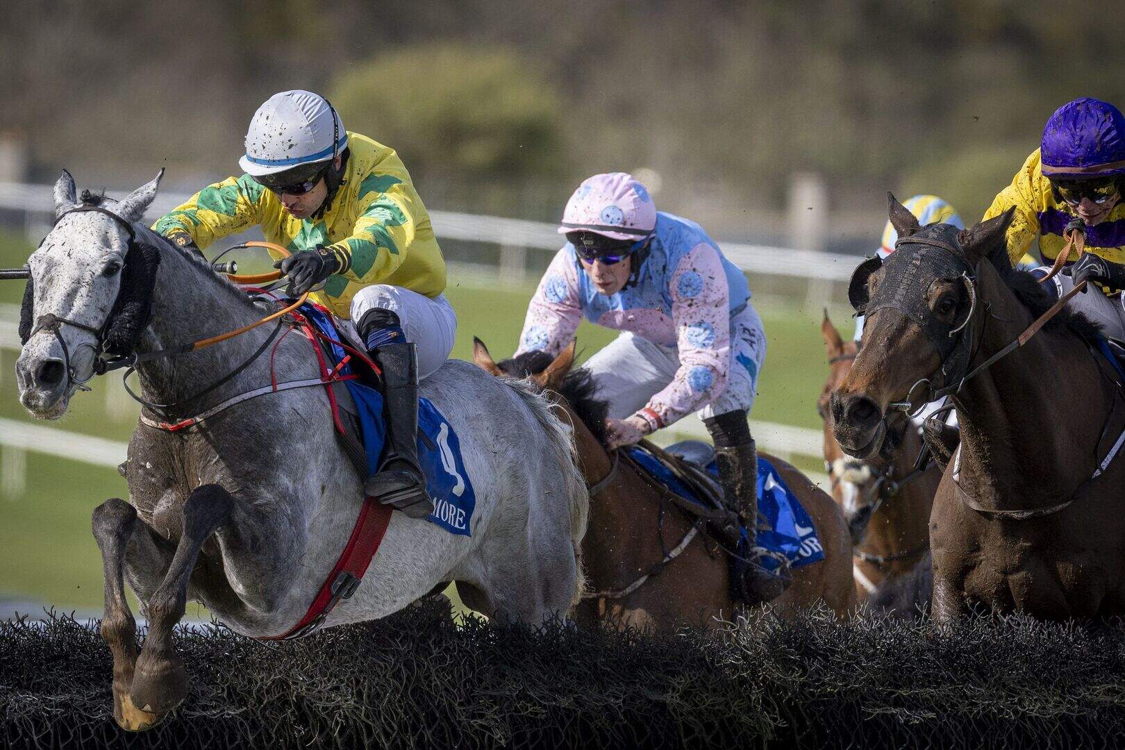 Tiernan Power-Roche and Must Meet Cecil team up for Tramore win | Irish ...