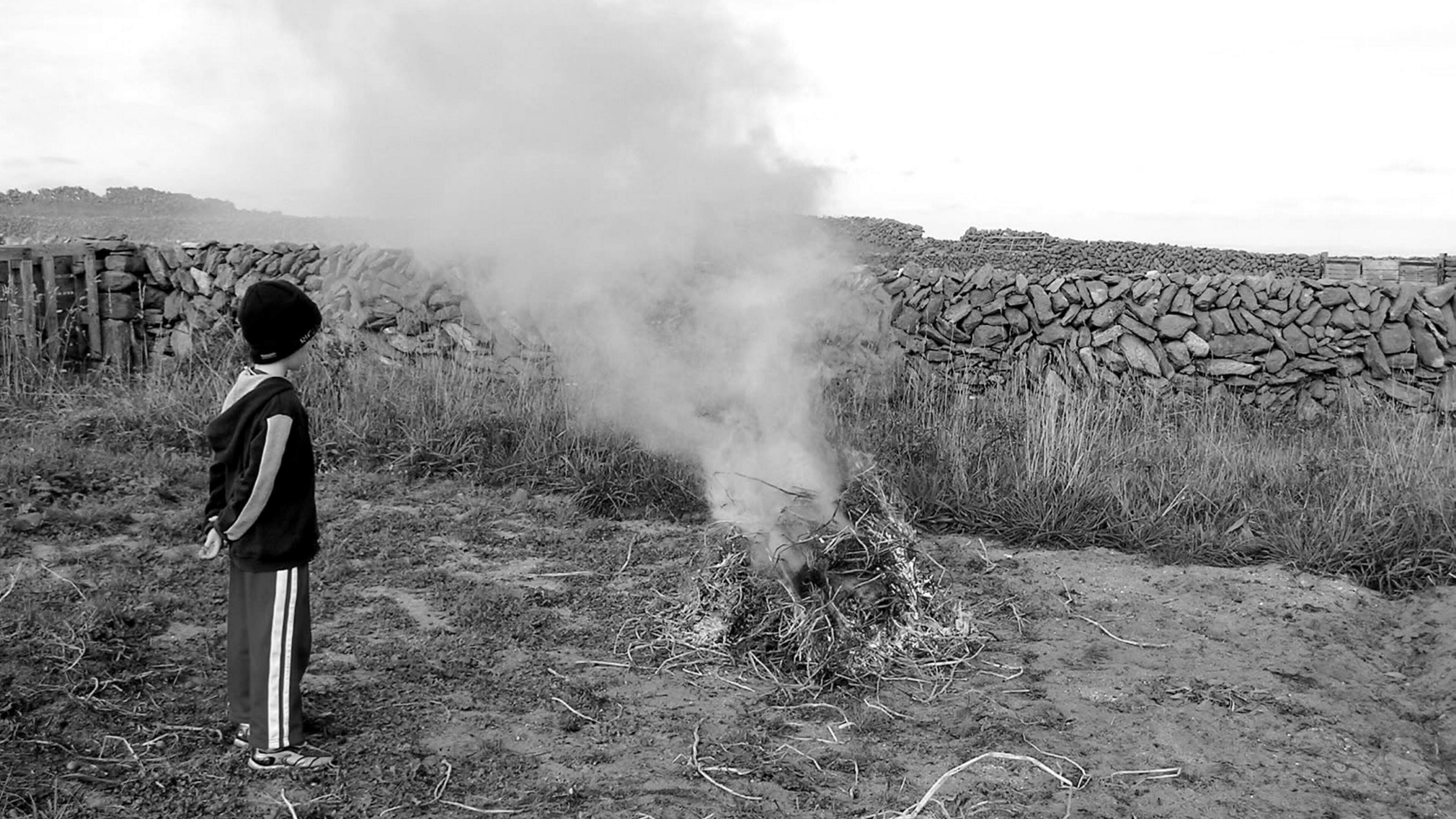 Aedín Ní Thiarnaigh: Is breá liom focal blasta Gaeilge cosúil leis ‘an bhruithneog’