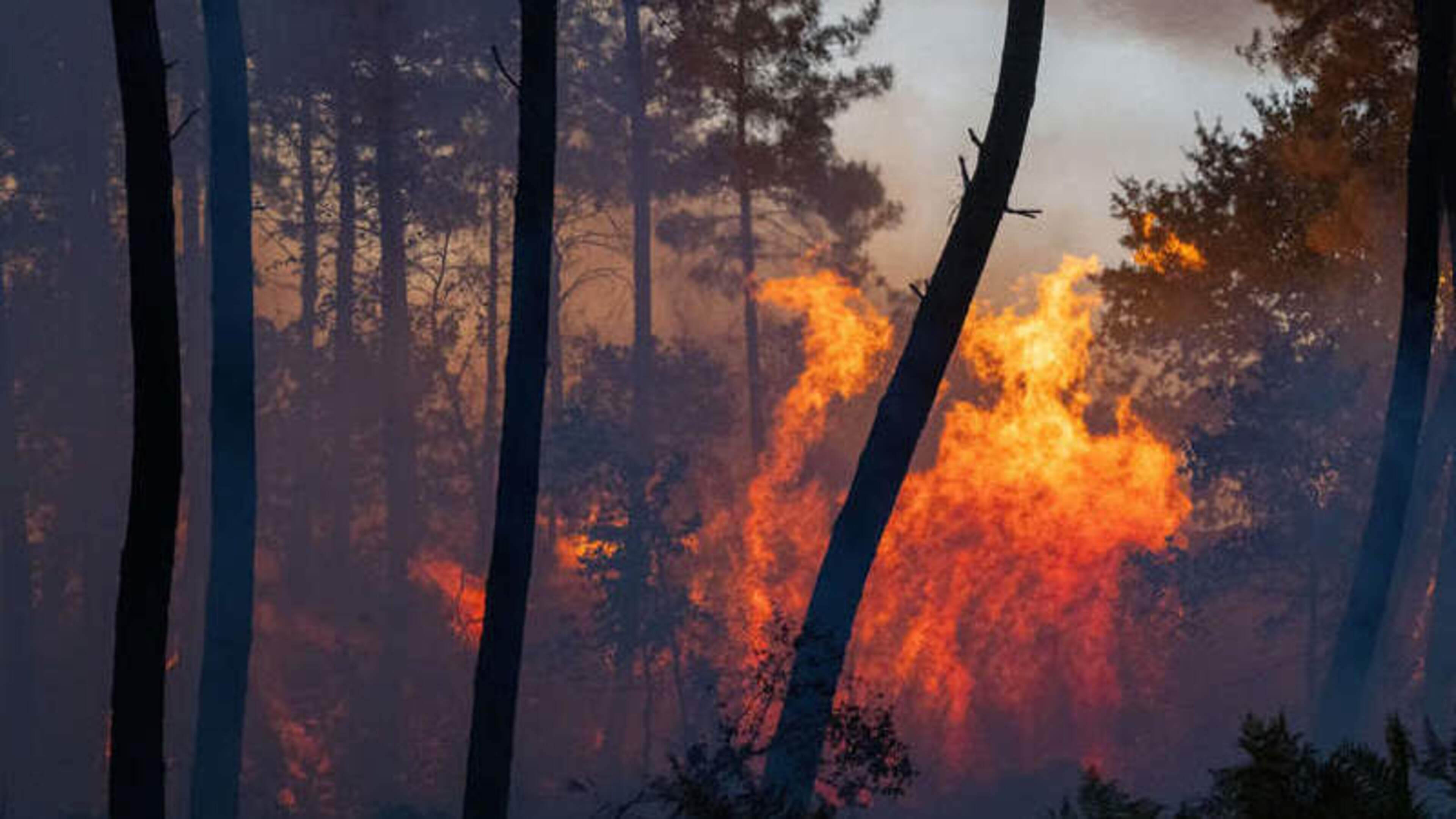 Wildfires force evacuations outside Bordeaux as wind stokes Spanish blazest
