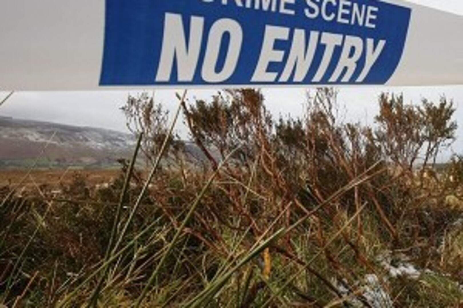 Gardai have arrested a man over the death of a 30-year-old woman