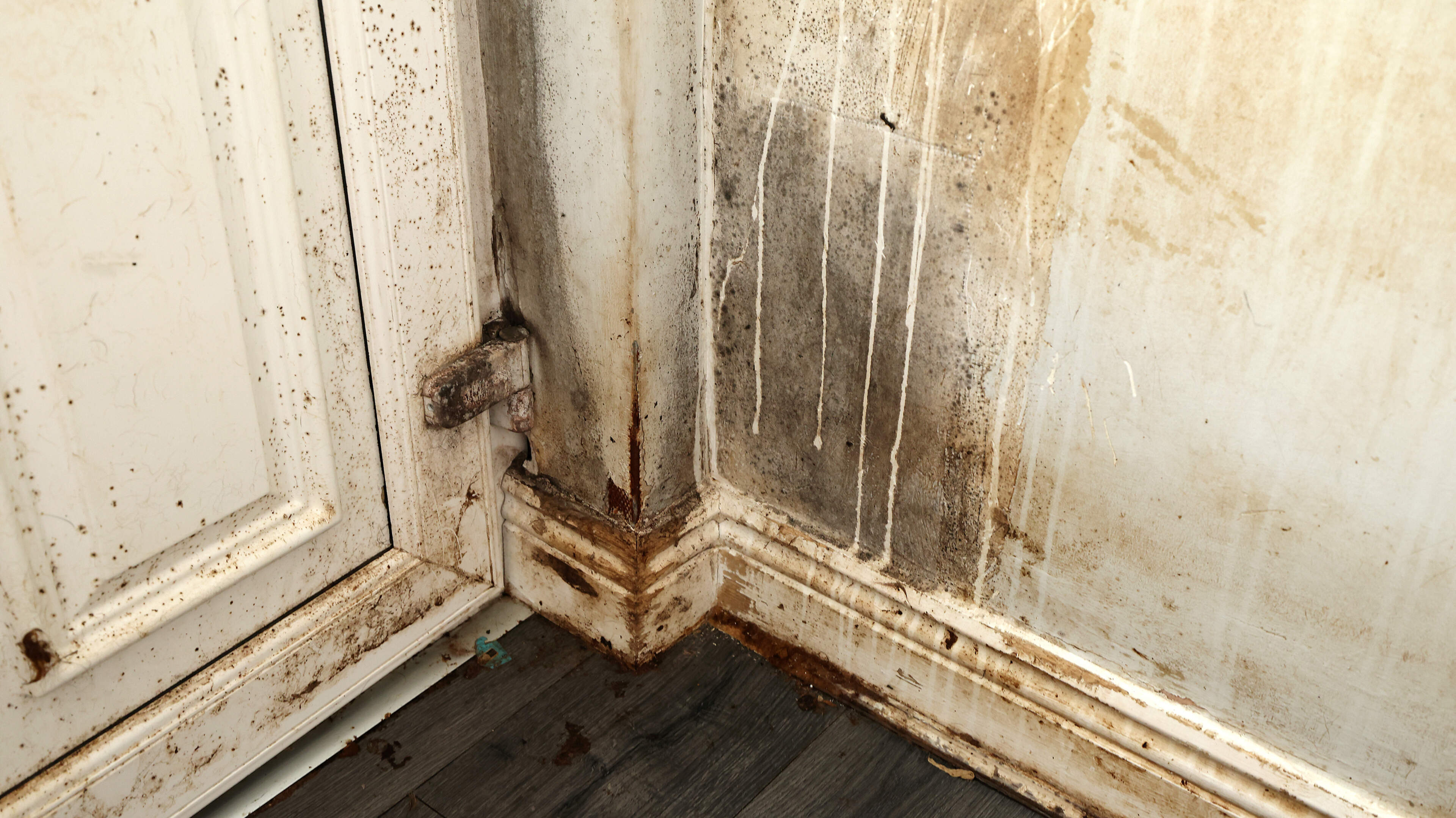 Mother and three children with additional needs living in ‘absolute squalor’ denied medical priority twice from Dublin City Council 