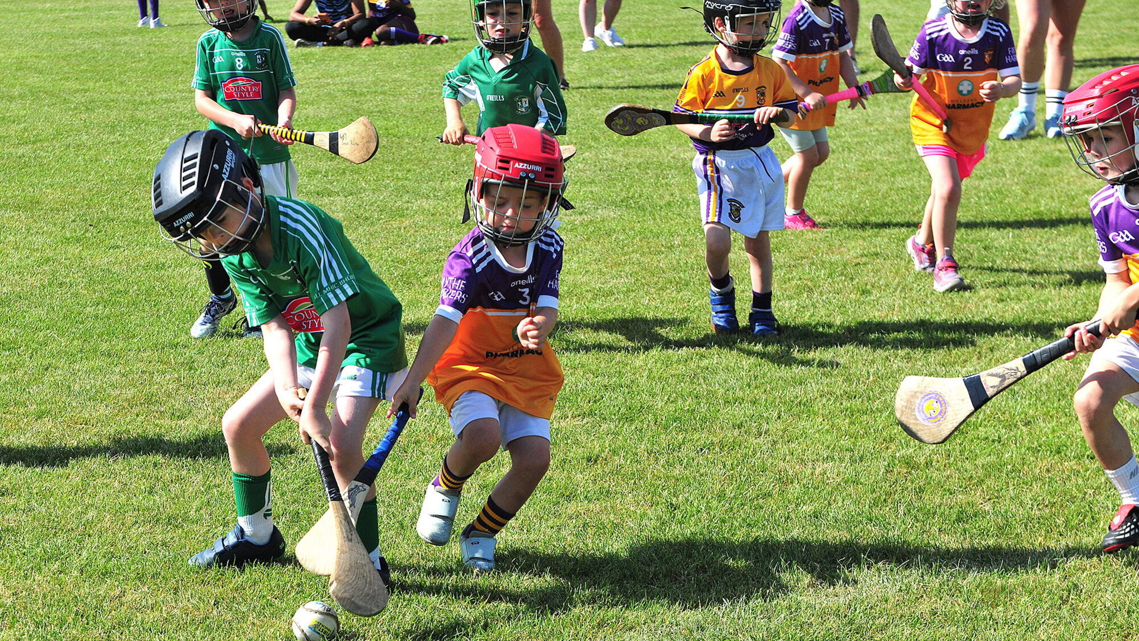 ‘Great memories’ for young hurlers as club welcomes 200 Wexford and Kilkenny players to blitz