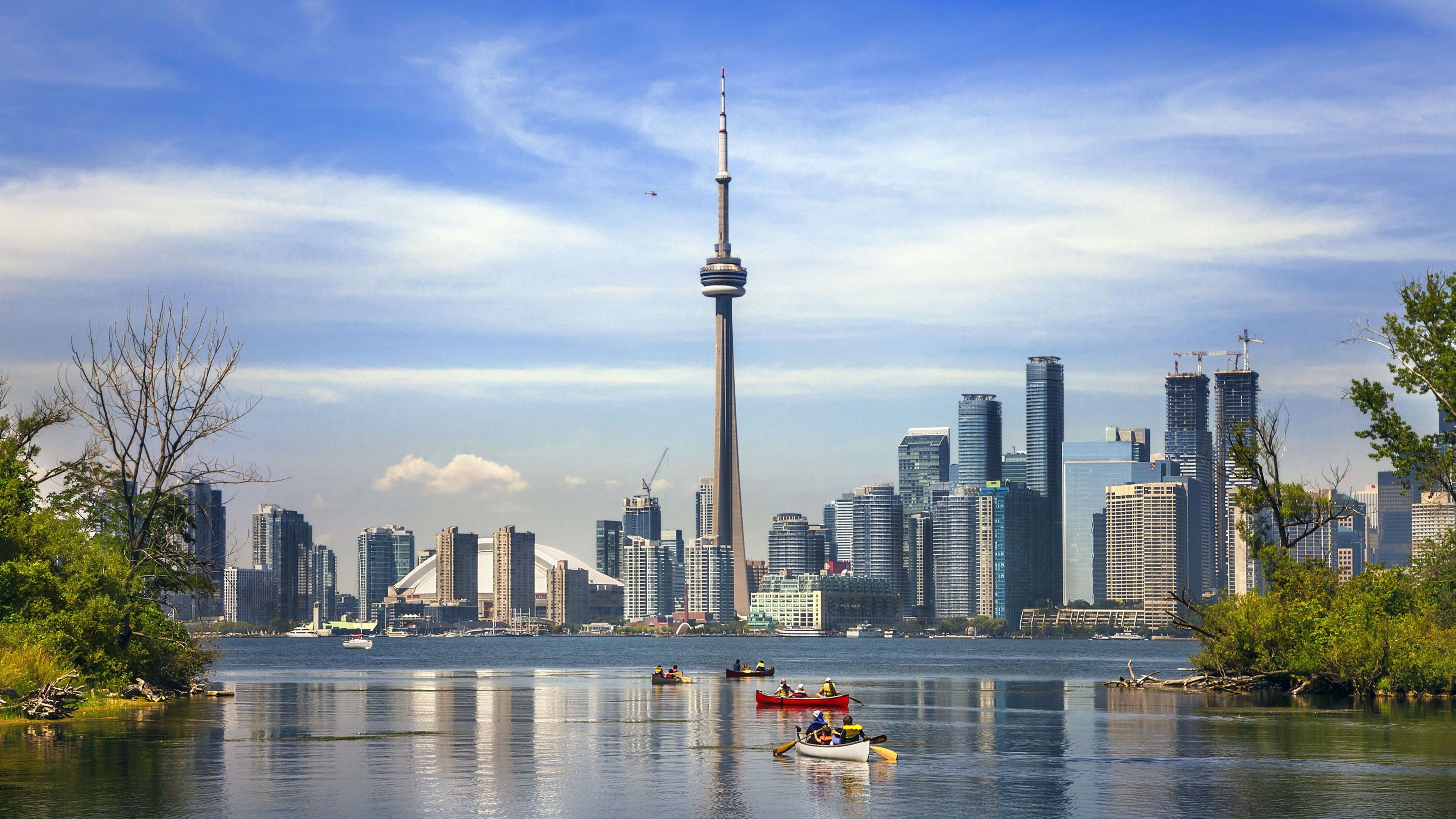 Irish goods exports to Canada surge 88pc in first four months of the year