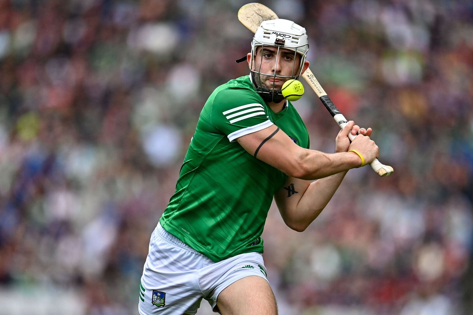 Limerick confident Aaron Gillane will be ready to face Waterford in Munster  | Irish Independent